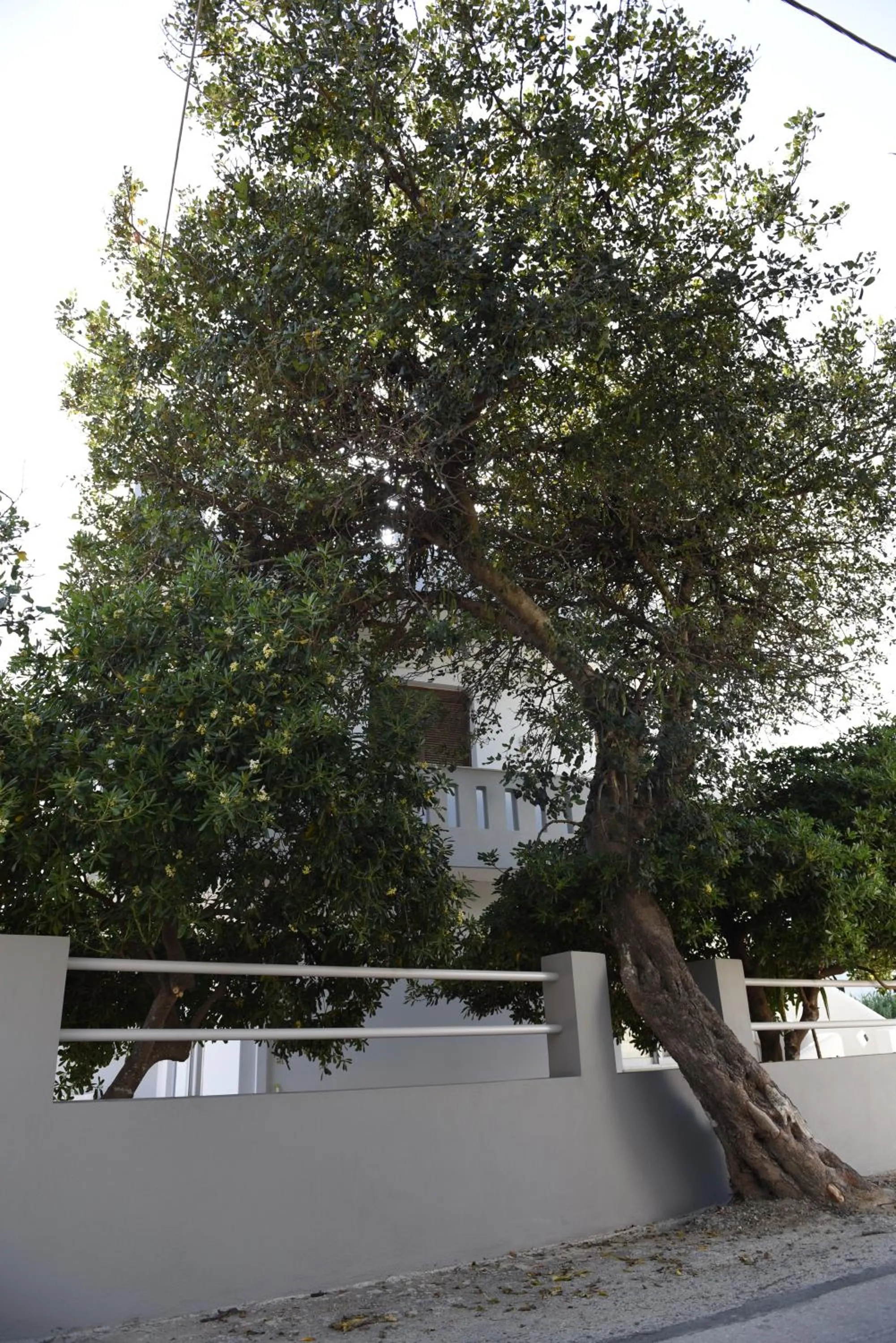 Street view in Dimitris' & Valentina's Home