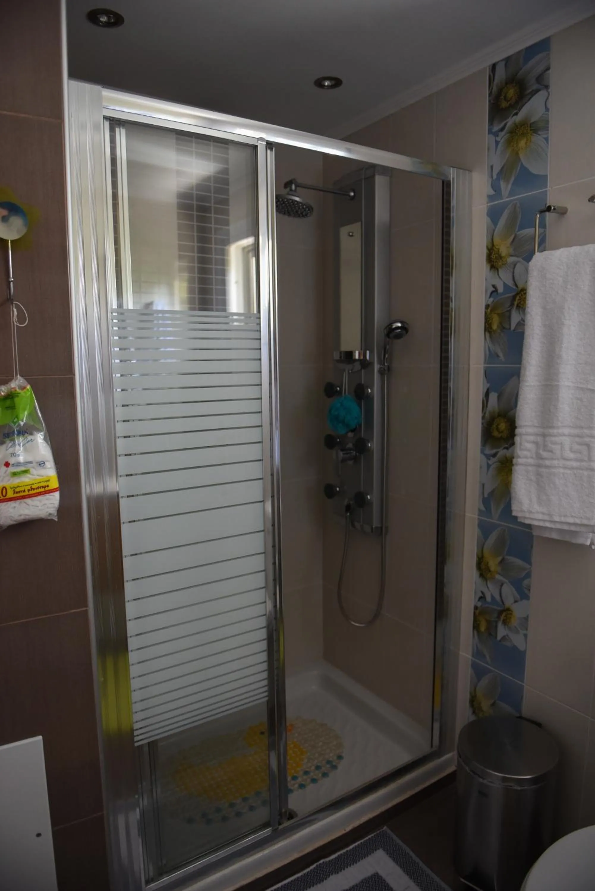Shower in Dimitris' & Valentina's Home