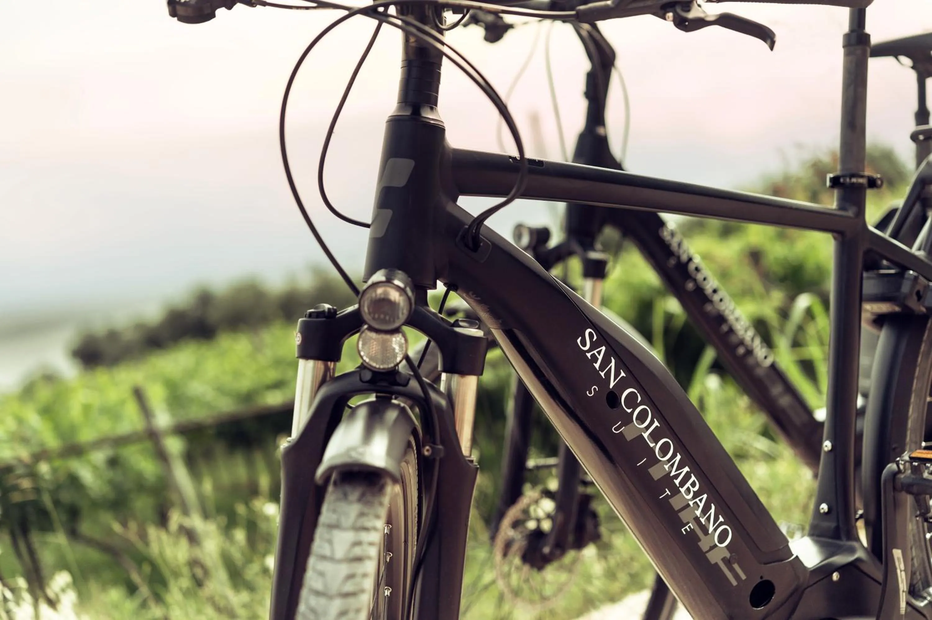 Cycling in San Colombano Suites