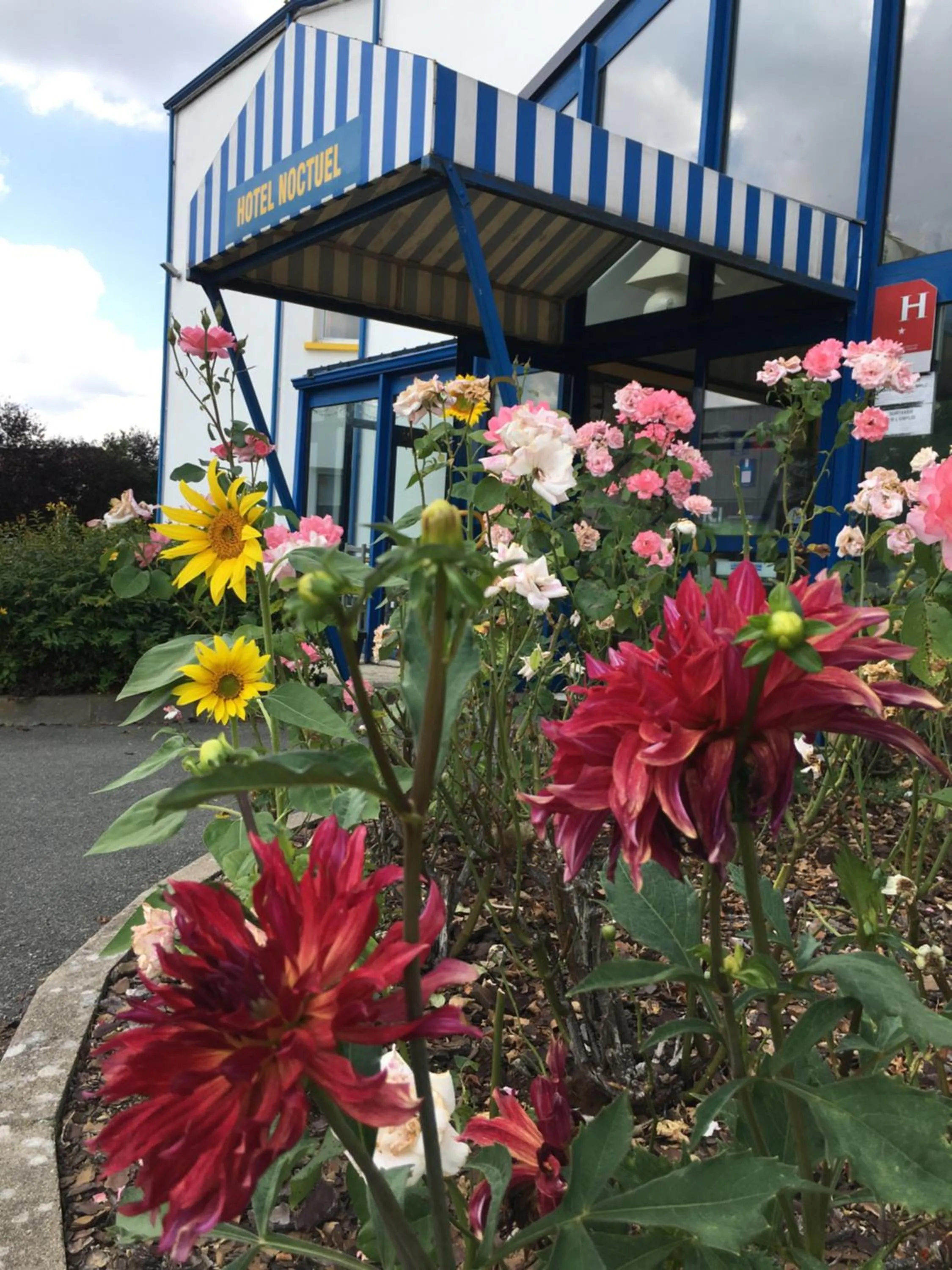Property building in Hôtel Noctuel Blois Sud