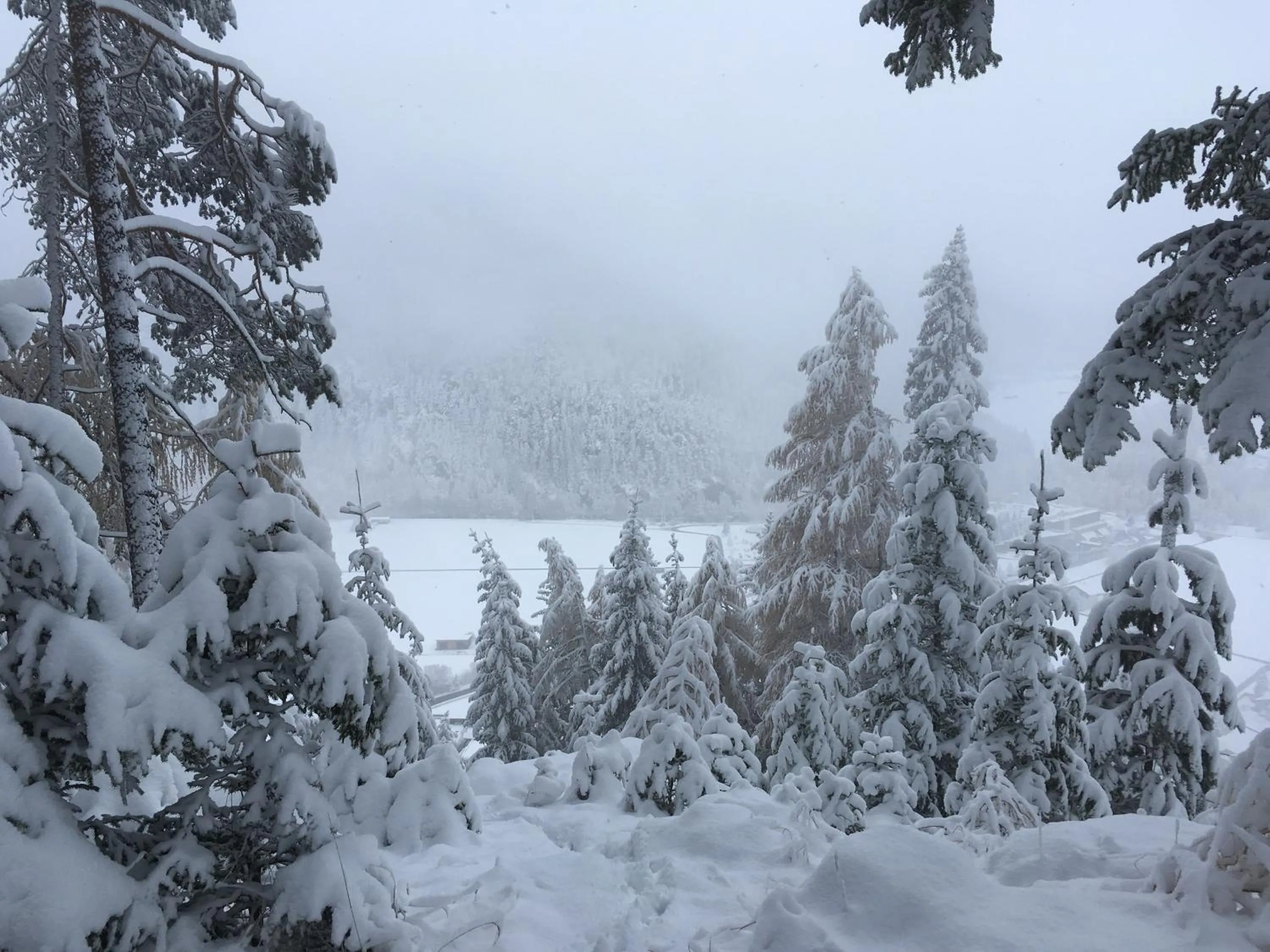 View (from property/room) in Hotel Burgstein - alpin & lifestyle