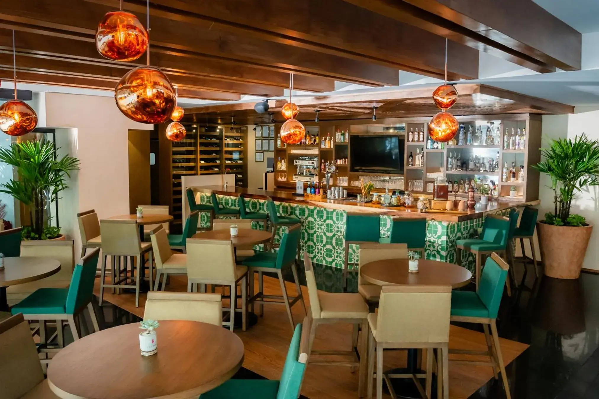 Lounge or bar in The Reef 28 Hotel & Spa - Luxury Adults Only - All Suites - With Optional All Inclusive Lounge or bar in The Reef 28 Hotel & Spa - Luxury Adults Only - All Suites - With Optional All Inclusive