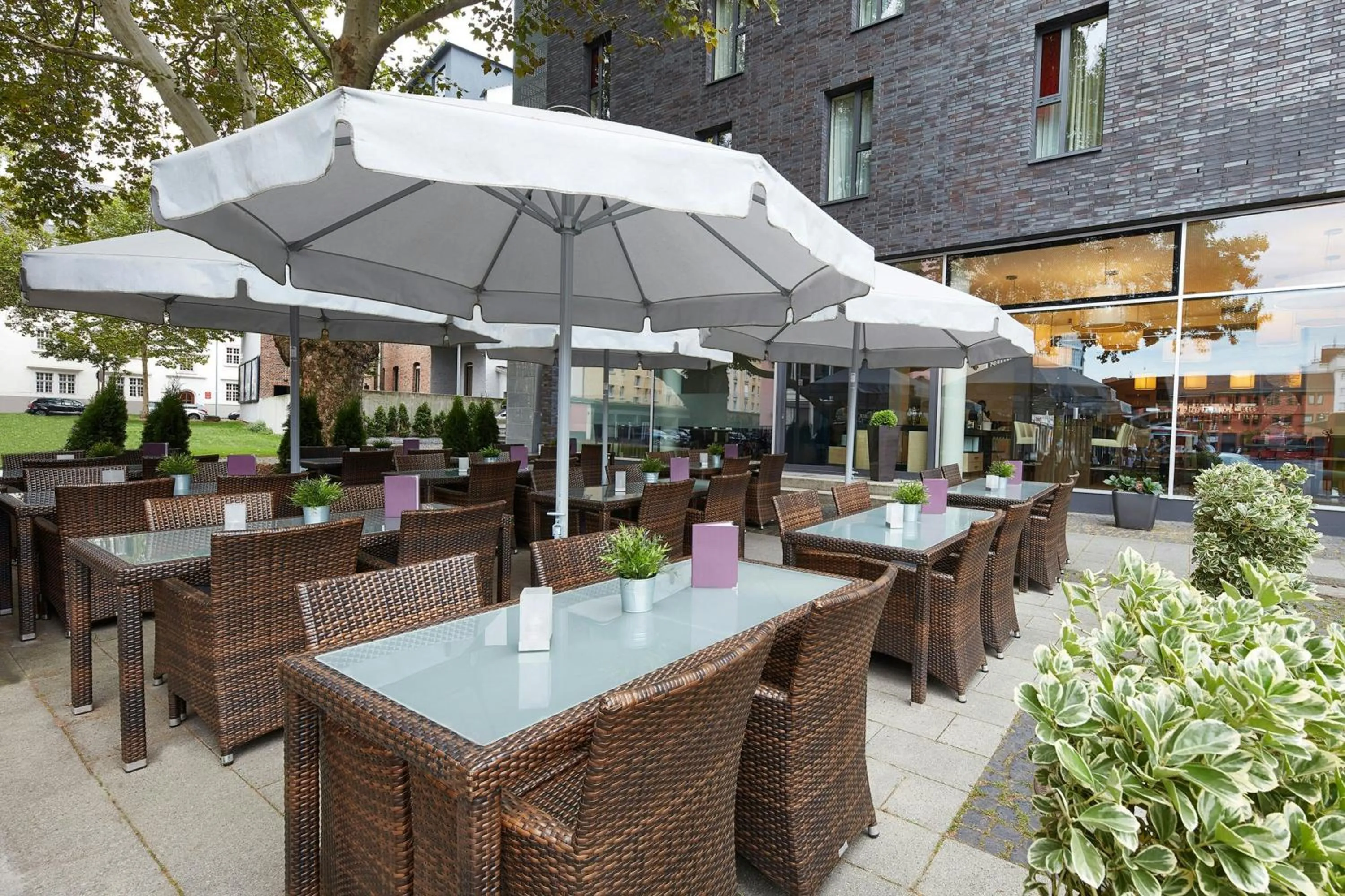 Restaurant/places to eat in Four Points Flex by Sheraton Koblenz