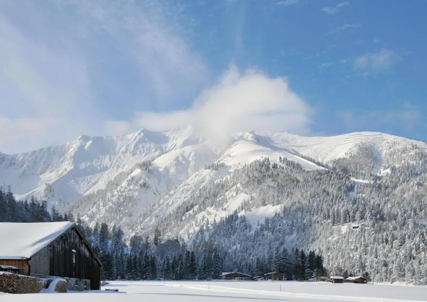 View (from property/room) in Tonis Appartements am Achensee