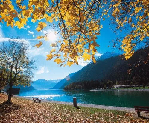 Area and facilities in Tonis Appartements am Achensee