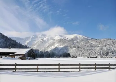 Area and facilities in Tonis Appartements am Achensee