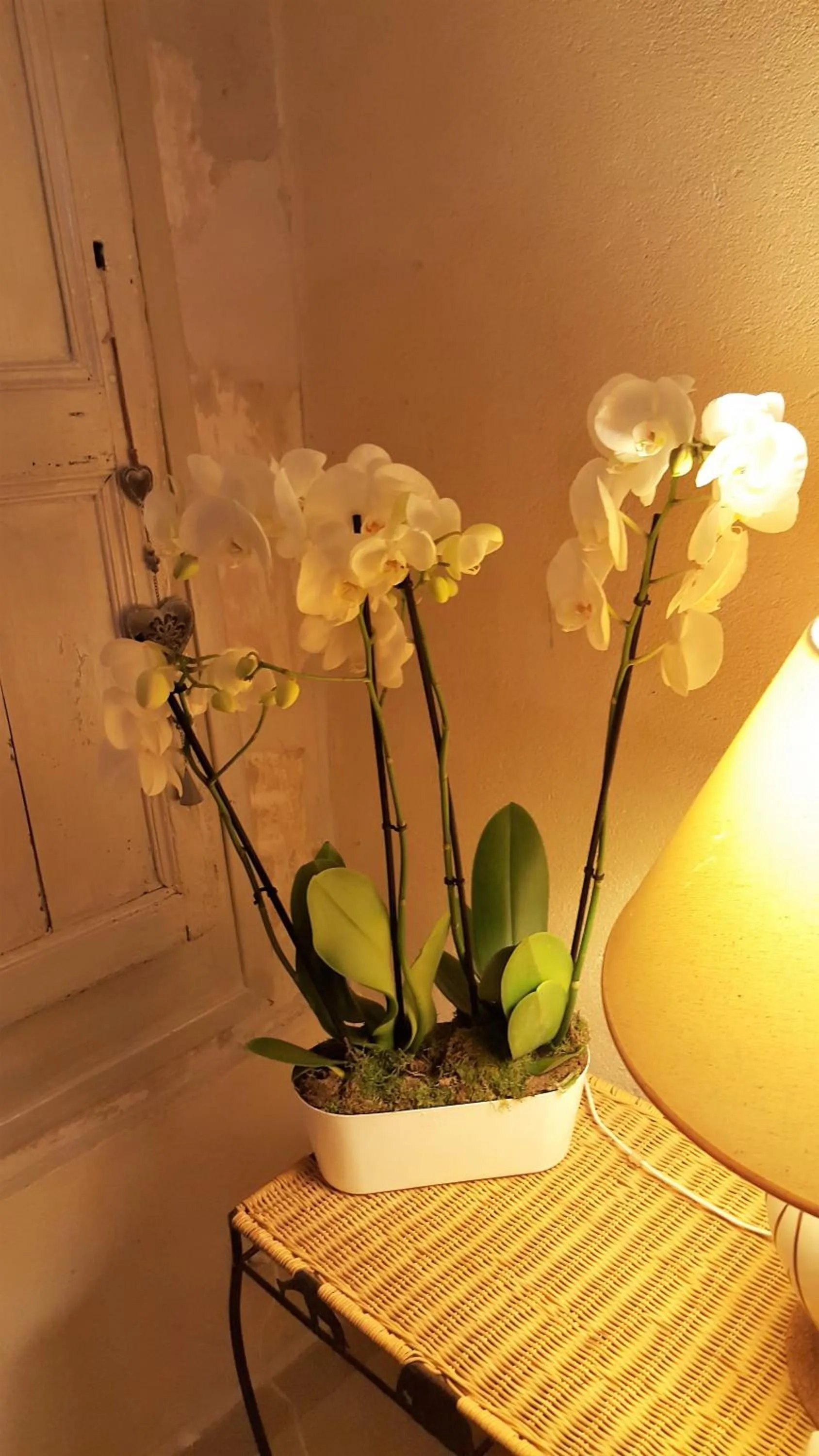 Decorative detail in Clos des Morillons