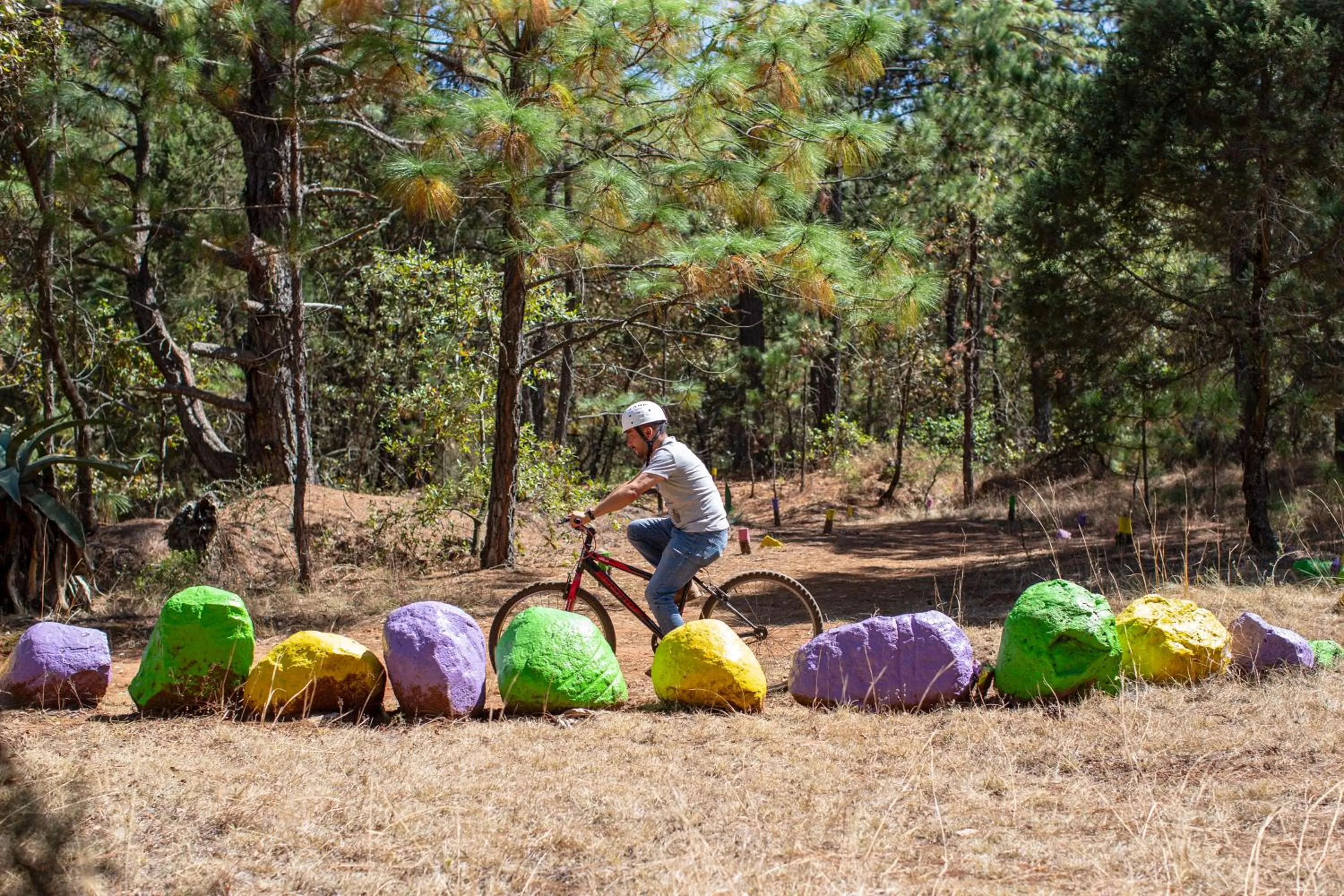 Natural landscape in Hotel & Glamping Huasca Sierra Verde