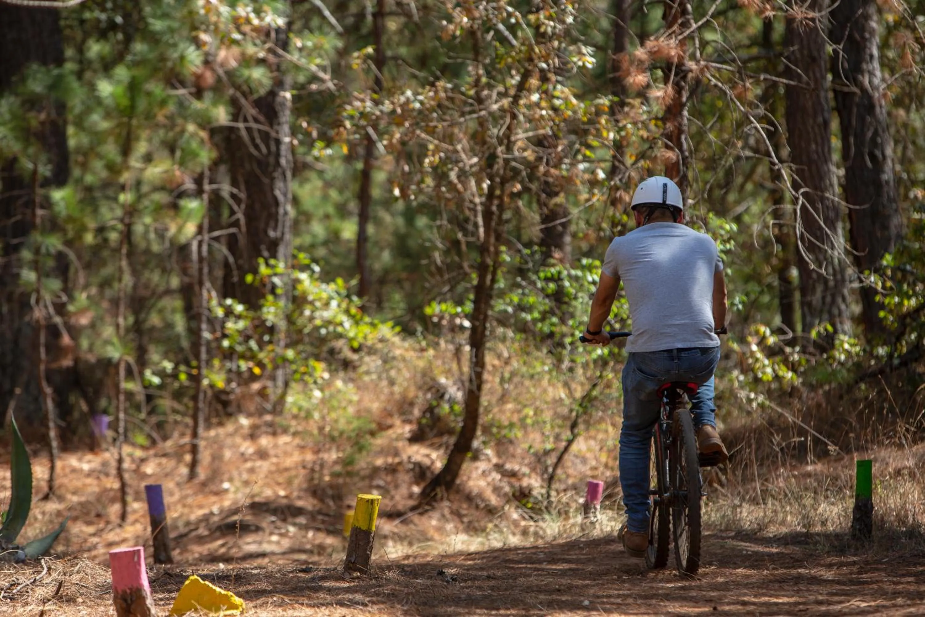 Natural landscape in Hotel & Glamping Huasca Sierra Verde