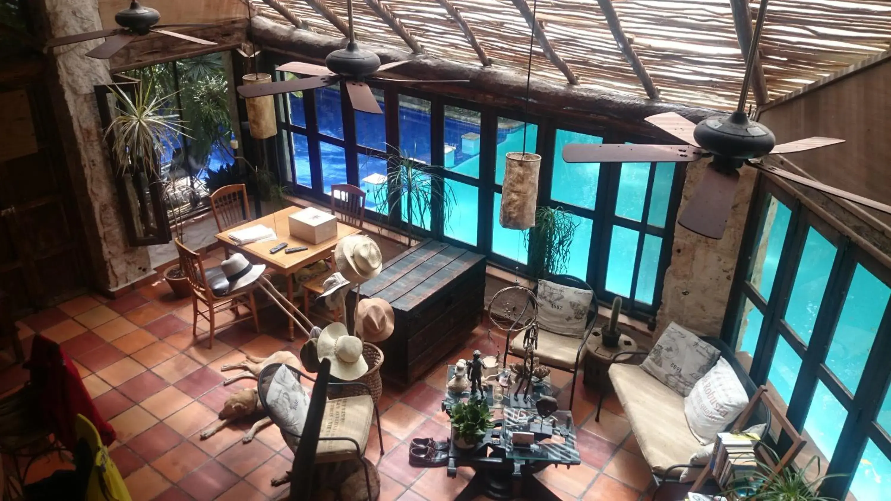 Jungle Lodge CANCUN AEROPUERTO Jungle Lodge CANCUN AEROPUERTO
