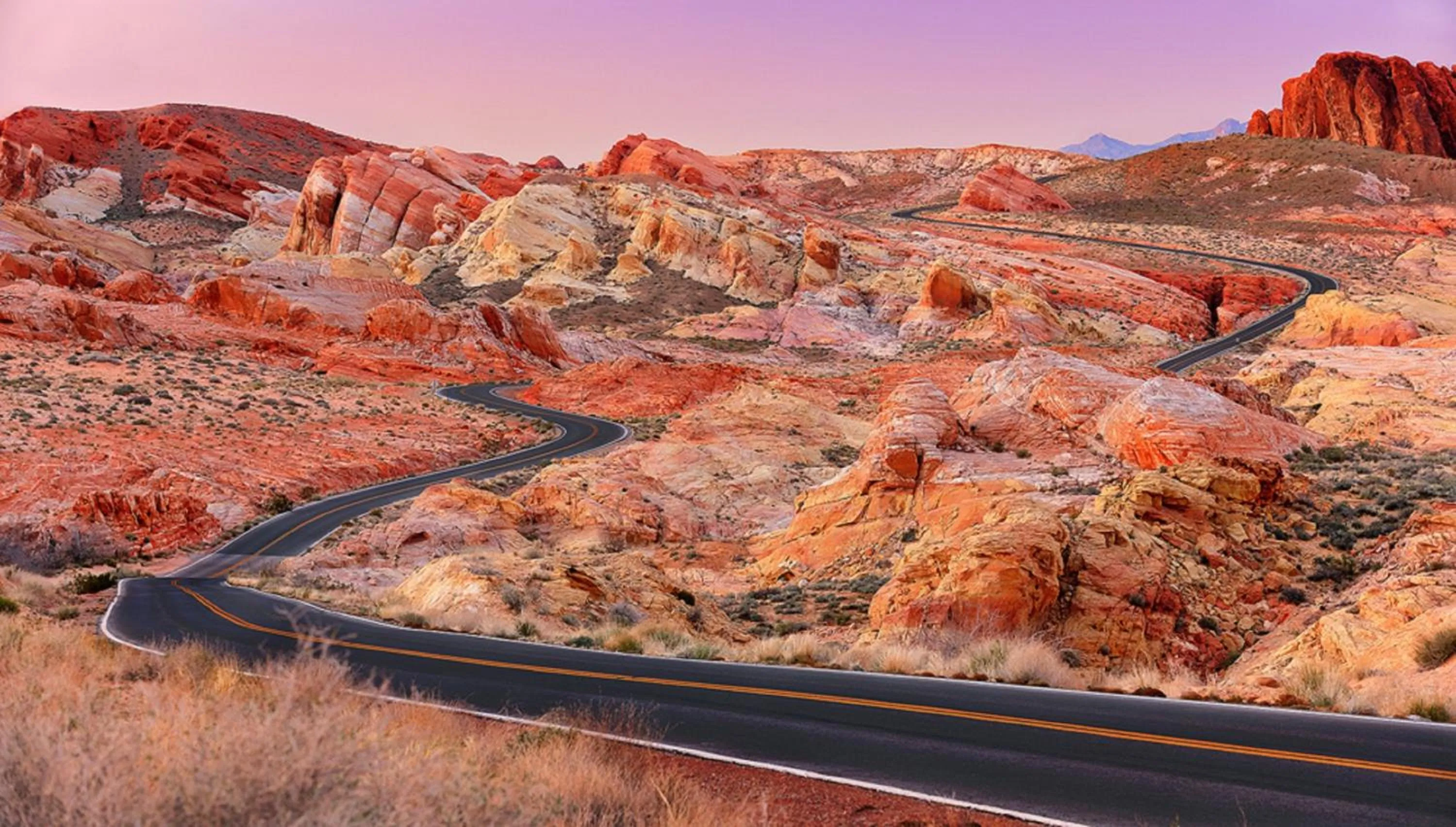 Area and facilities in Hampton Inn & Suites by Hilton Mesquite