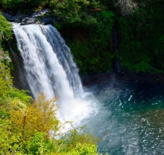 Cabin House Yado Fujinomiya