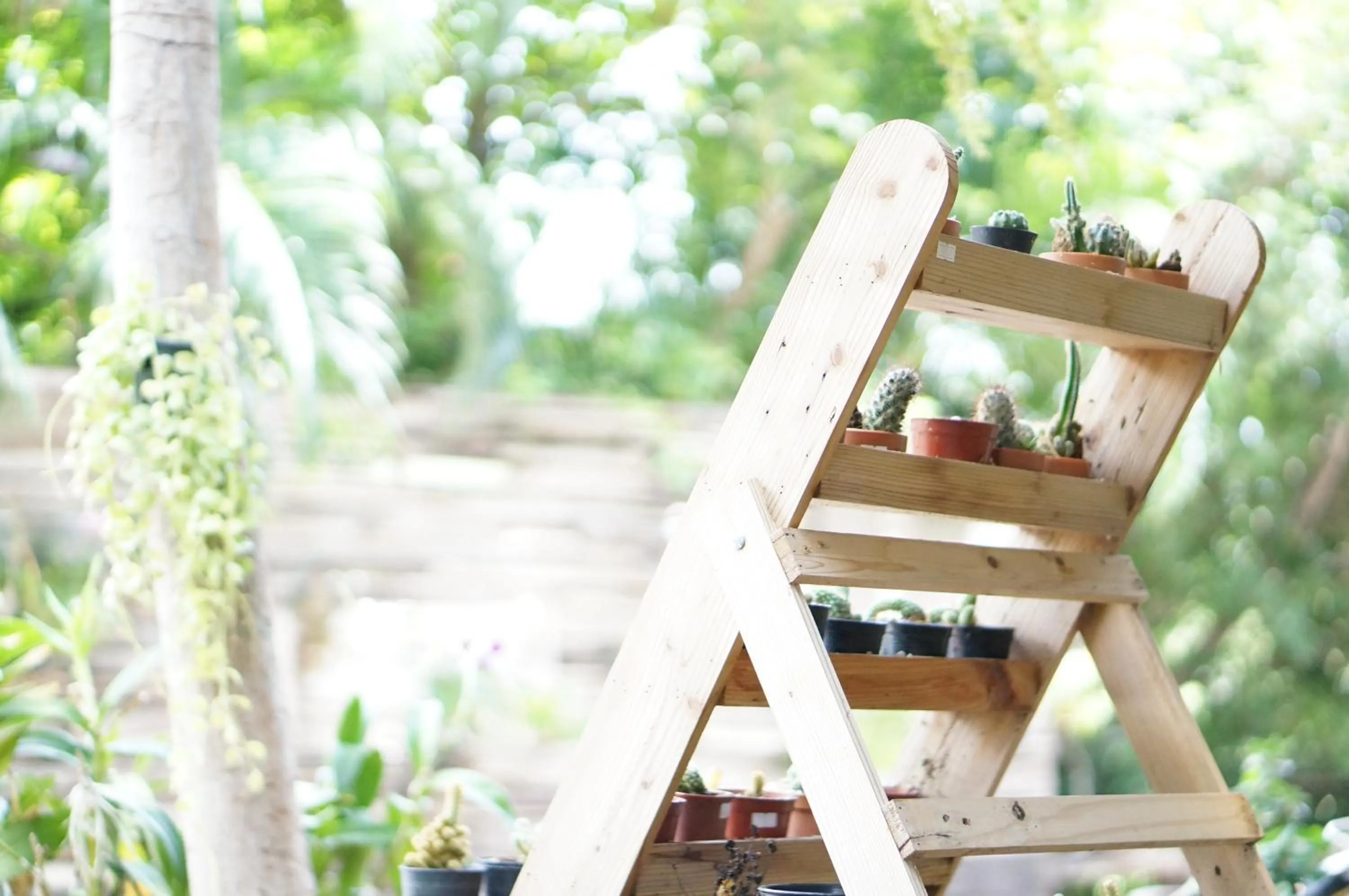 Country Lake View Hotel