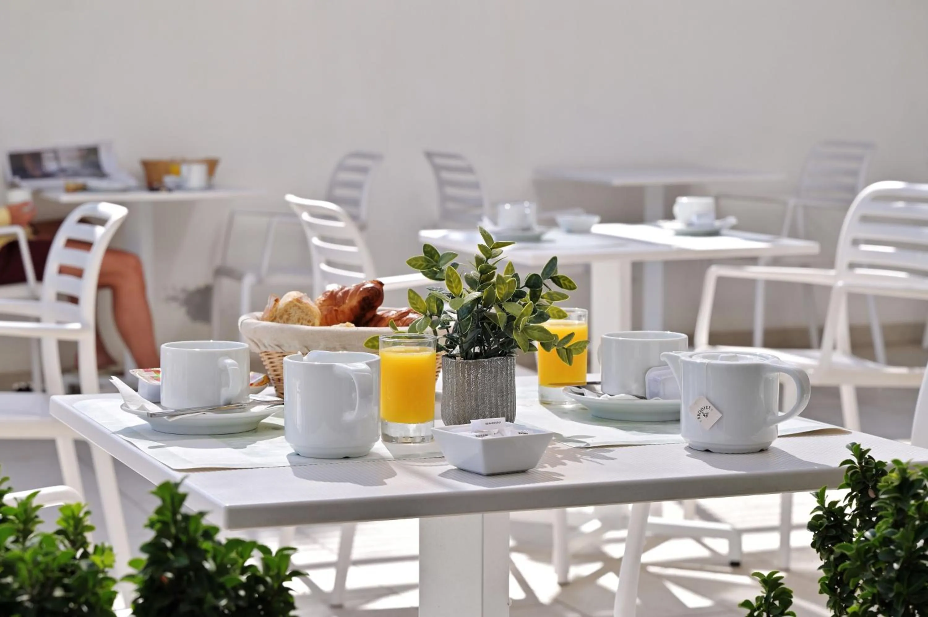 Breakfast in Hôtel de Porticcio