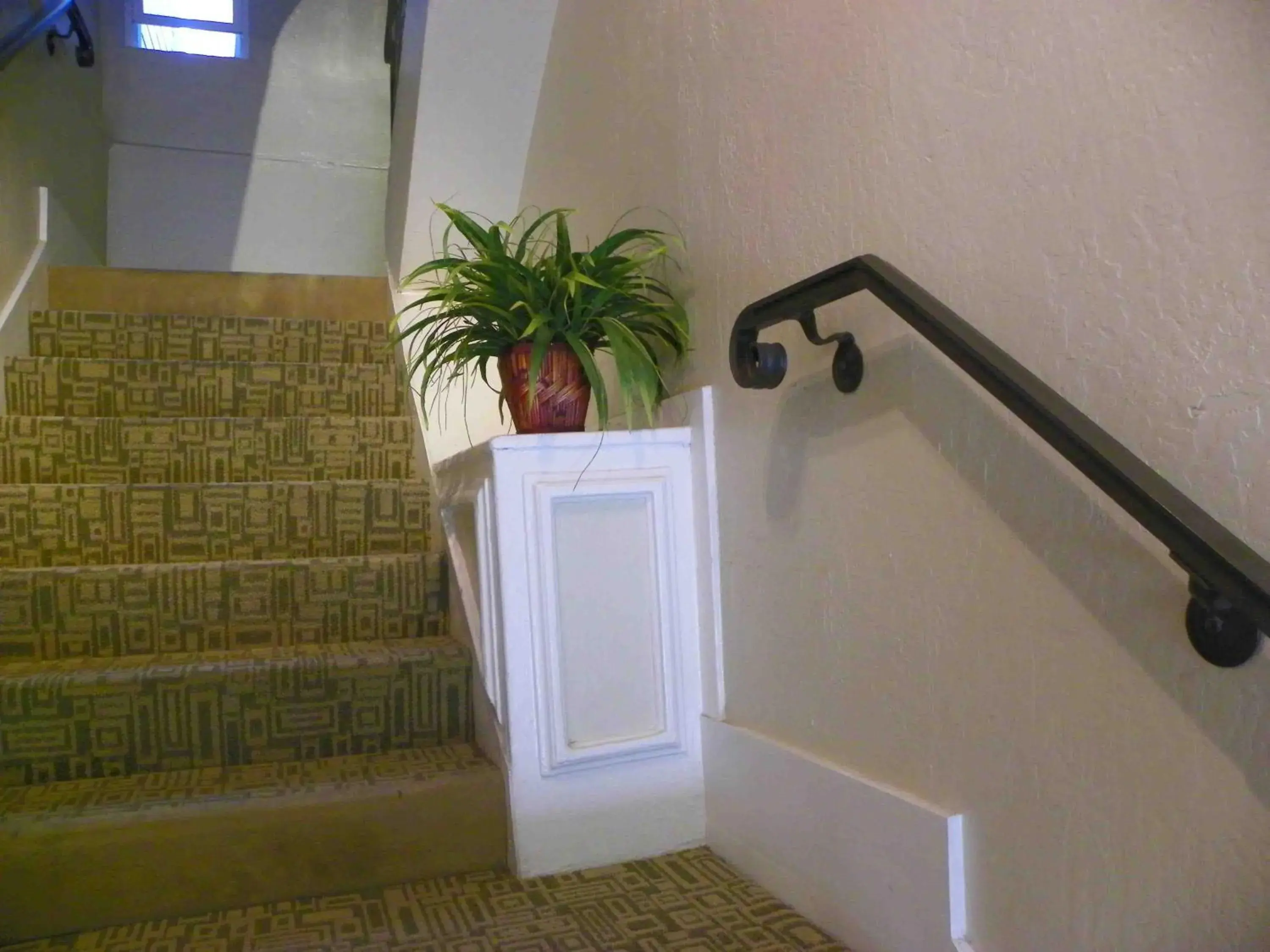 Lobby or reception in Casa Loma Hotel Lobby or reception in Casa Loma Hotel