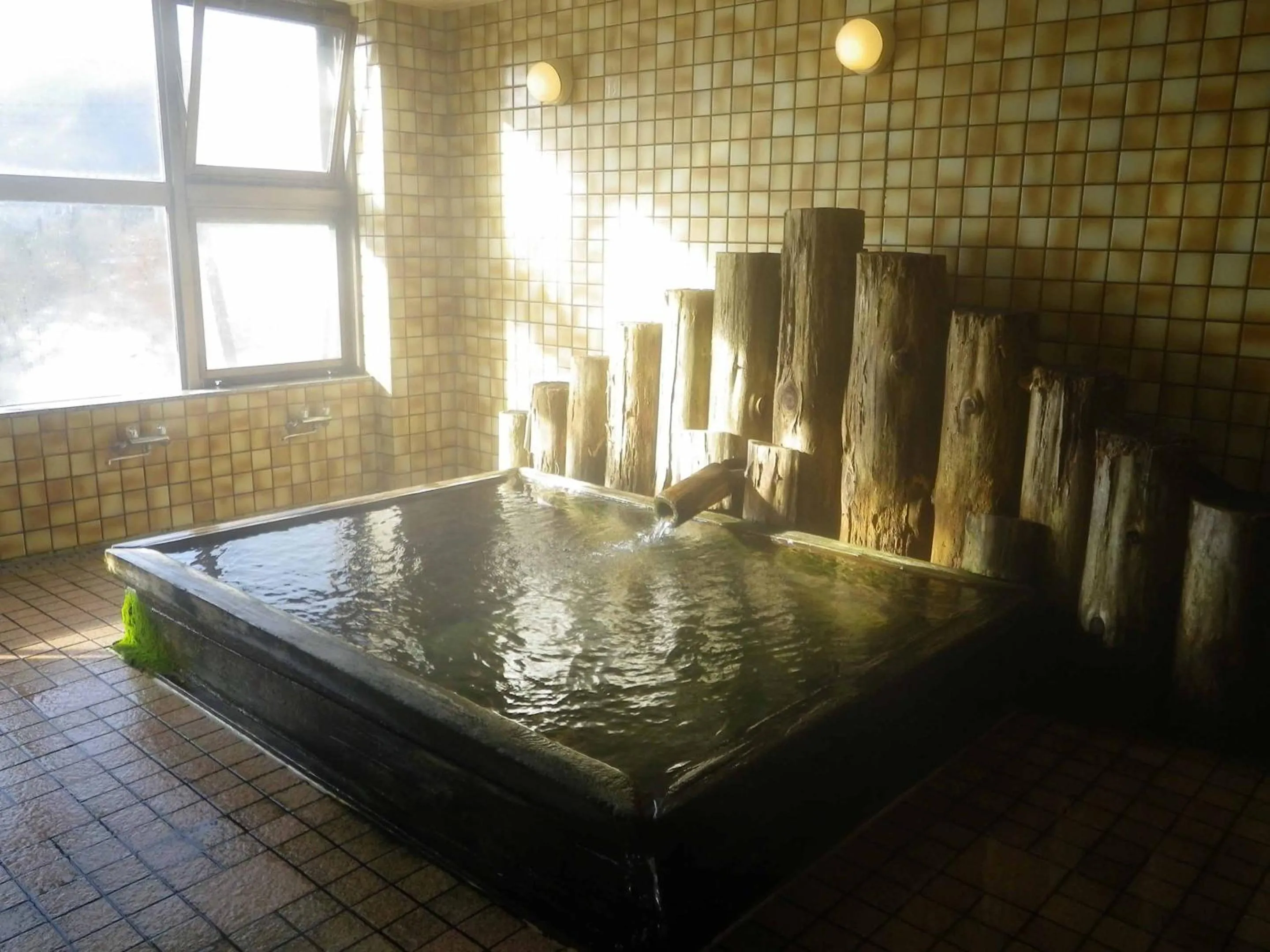 Public Bath in Kurumisawa Ryokan