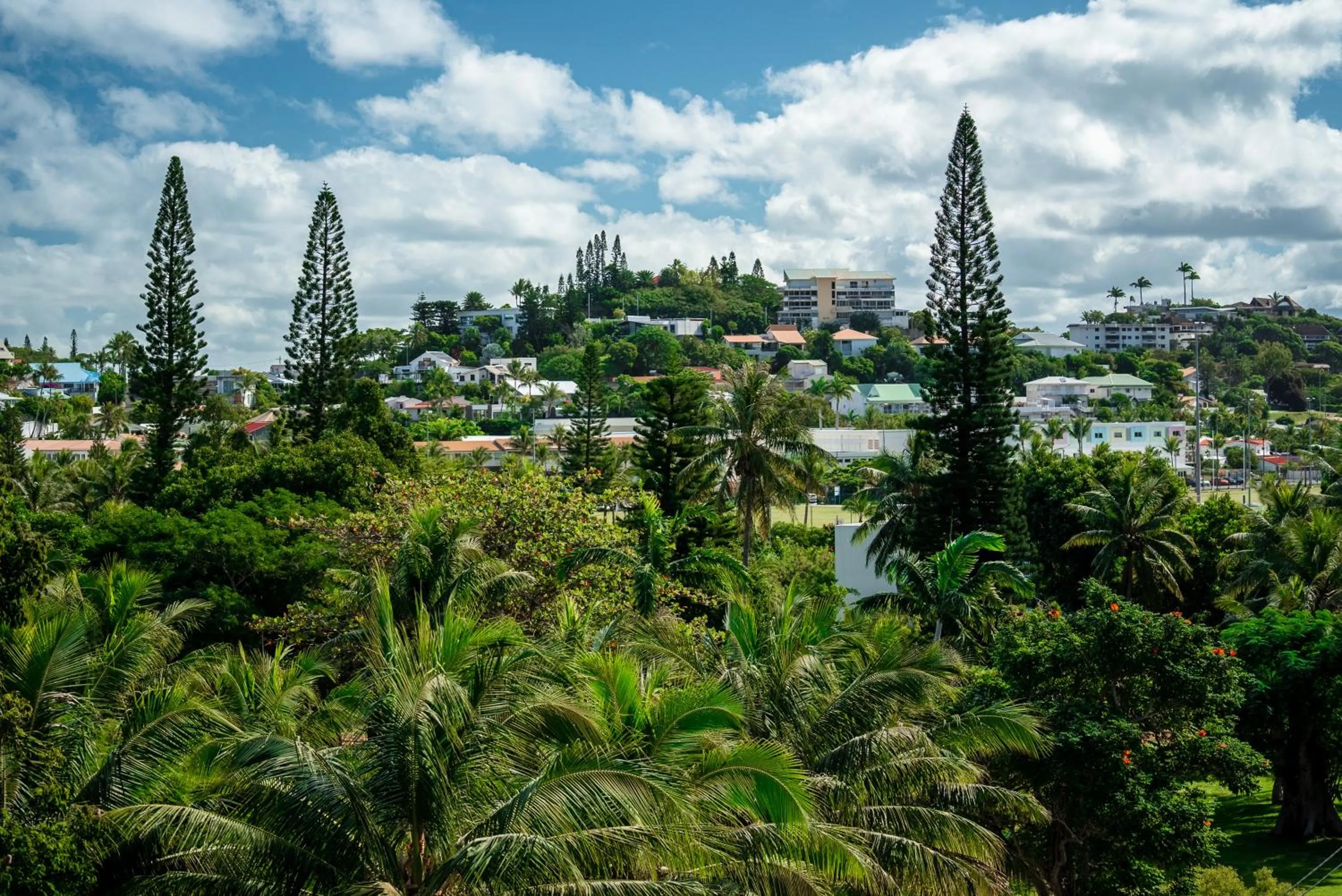 Natural landscape in Hôtel Le Lagon