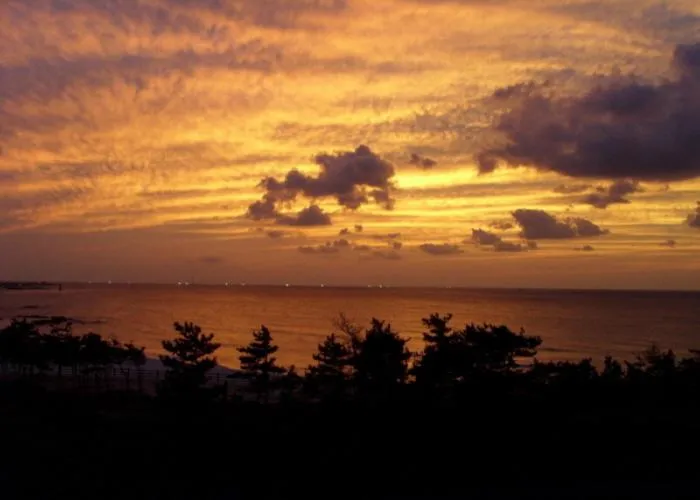Natural landscape in 오후여섯시펜션