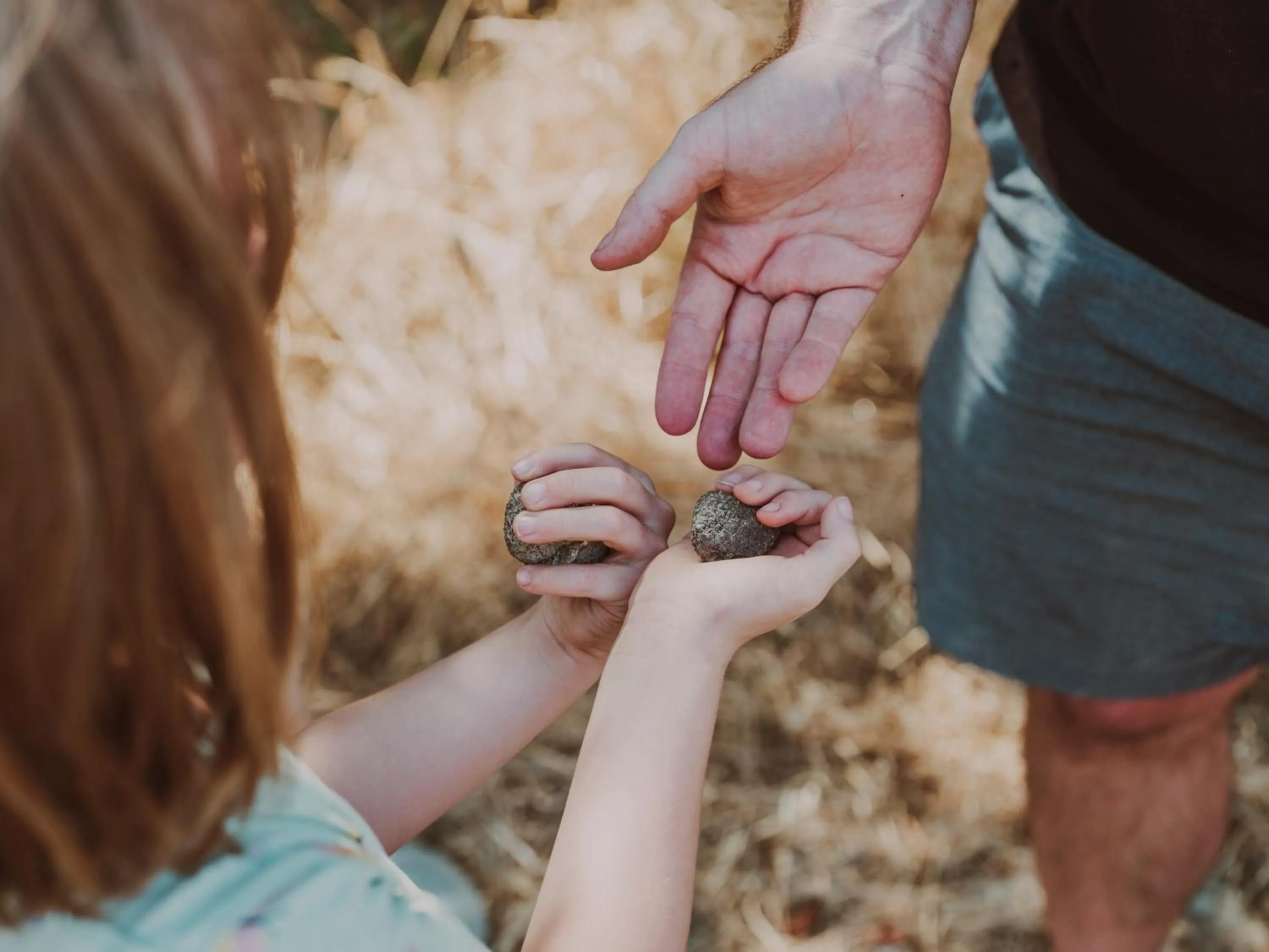 Day in B&B Diacceroni