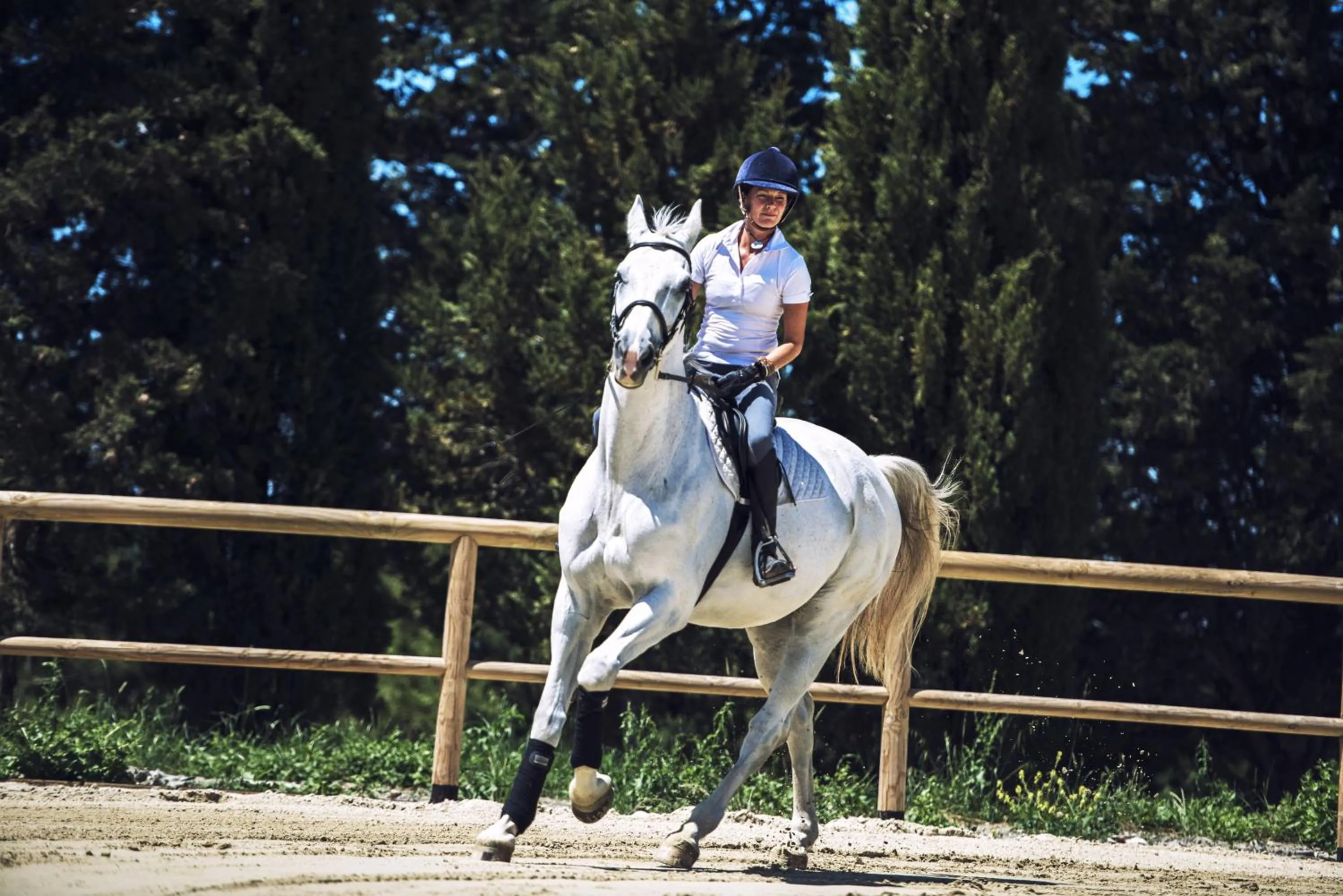 Horse-riding in B&B Diacceroni