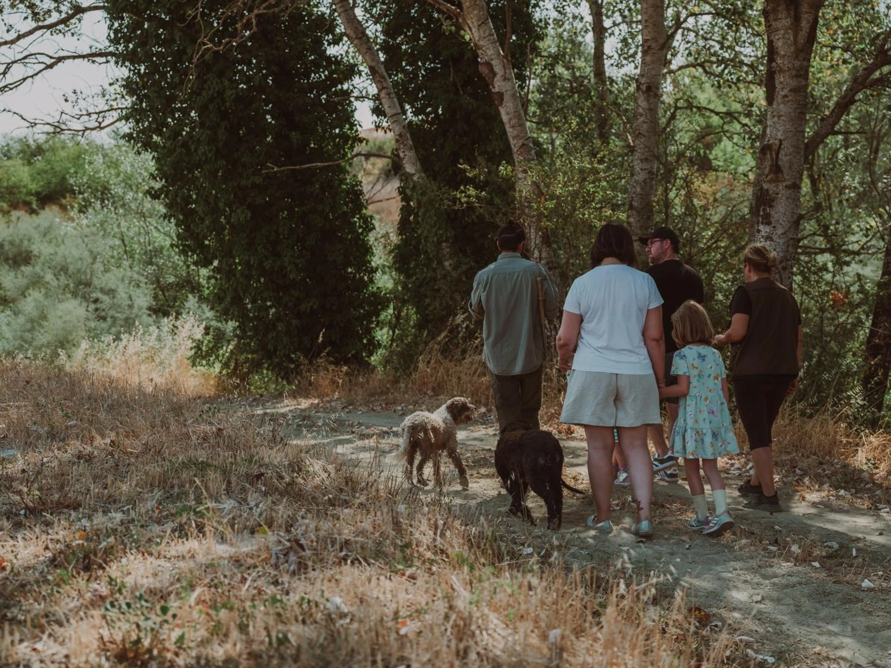 Spring in B&B Diacceroni