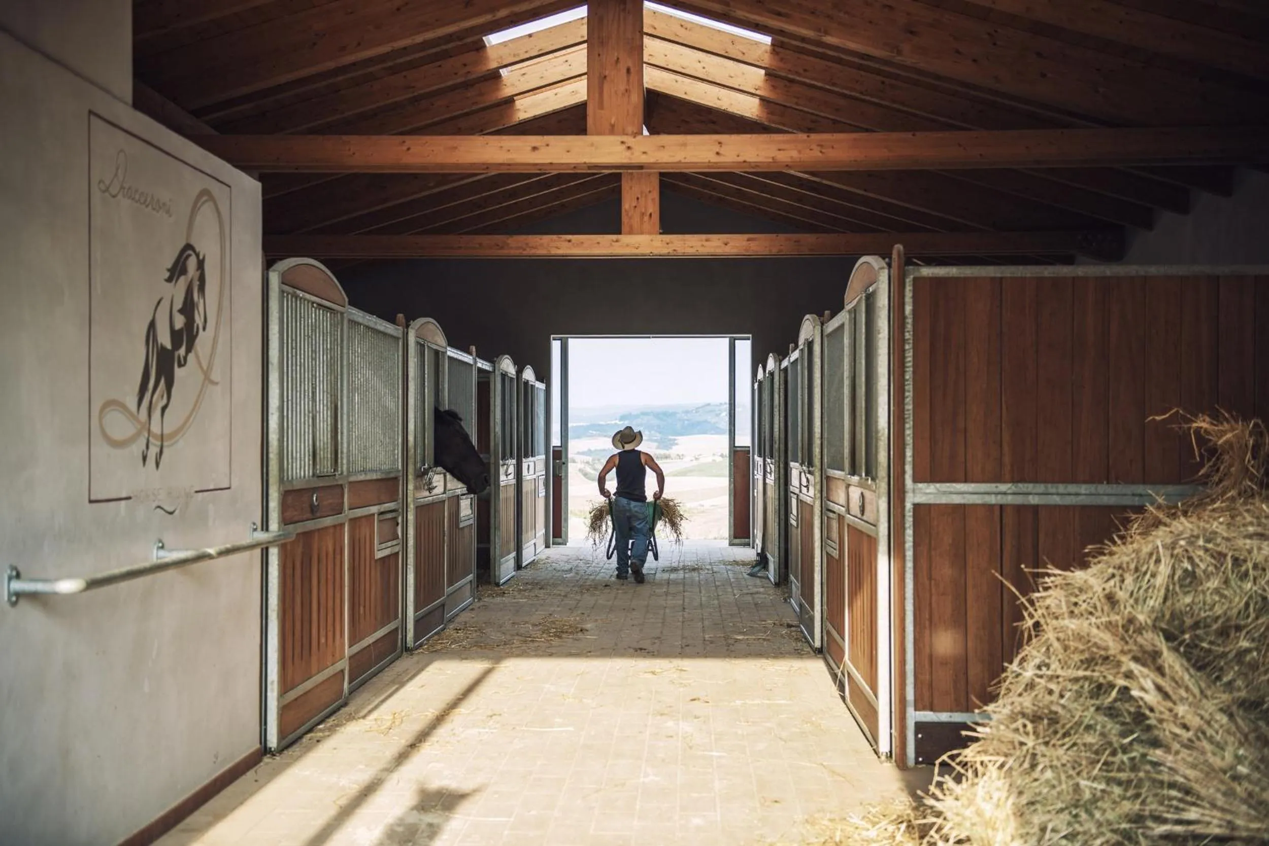 Horse-riding in B&B Diacceroni