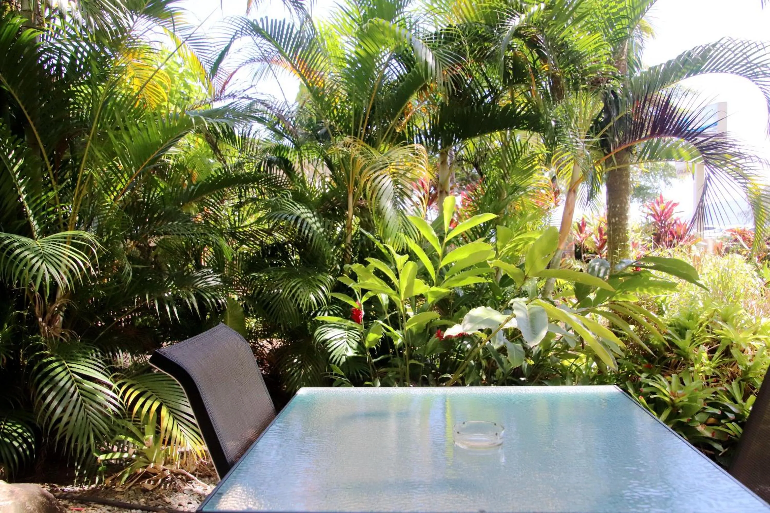 Garden in 181 The Esplanade