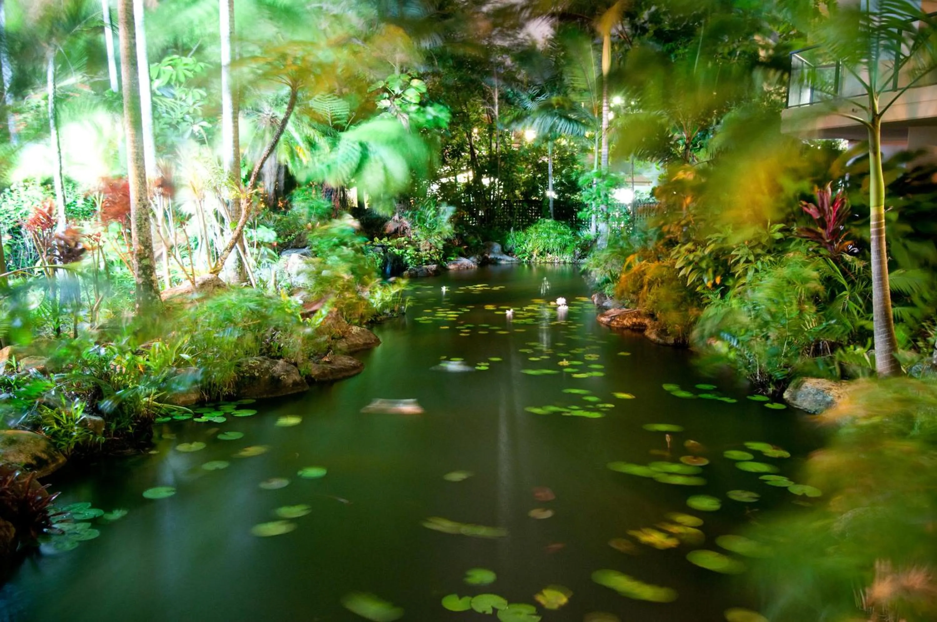 Garden in 181 The Esplanade