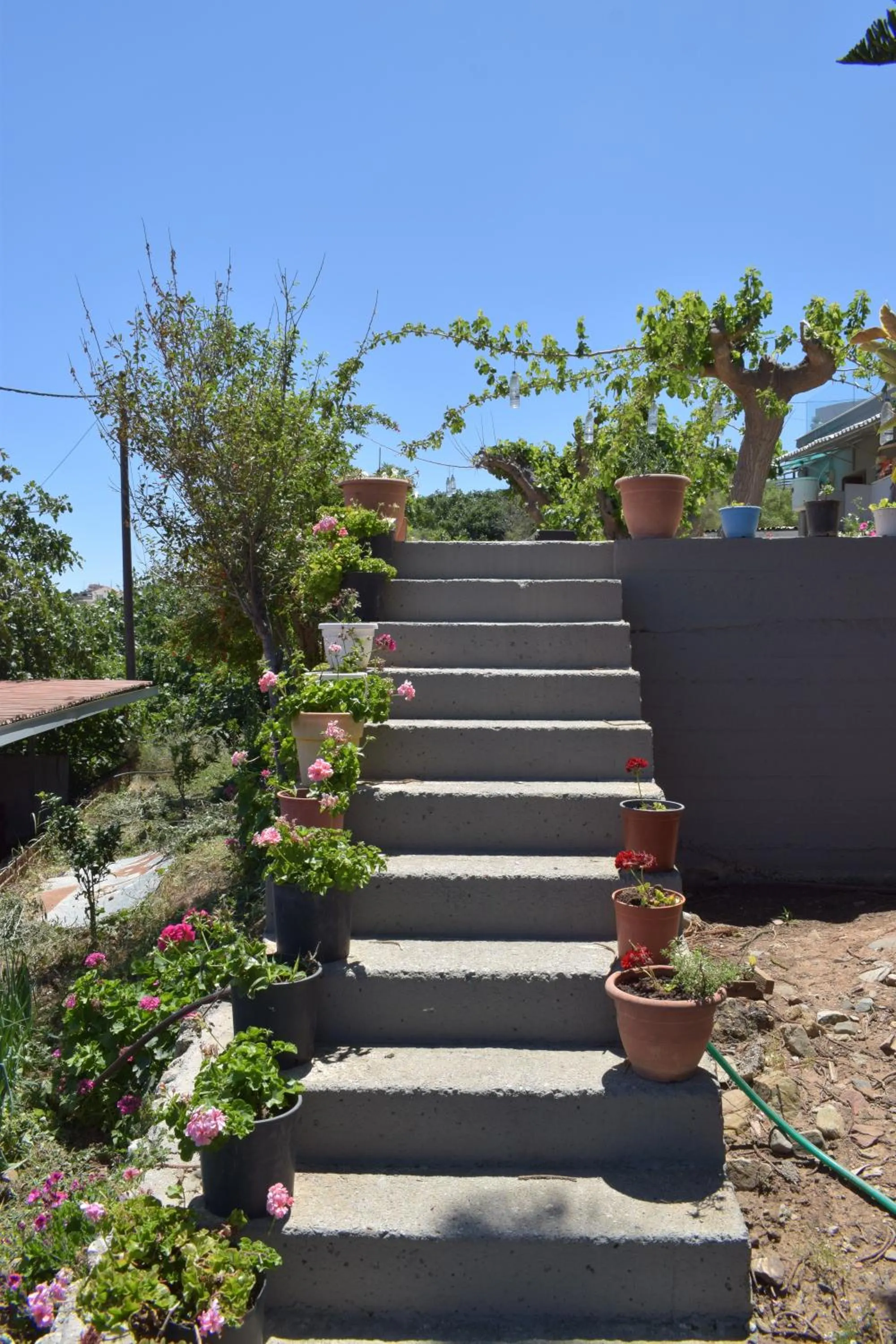 Spring in Romantic Corner Maisonette houses