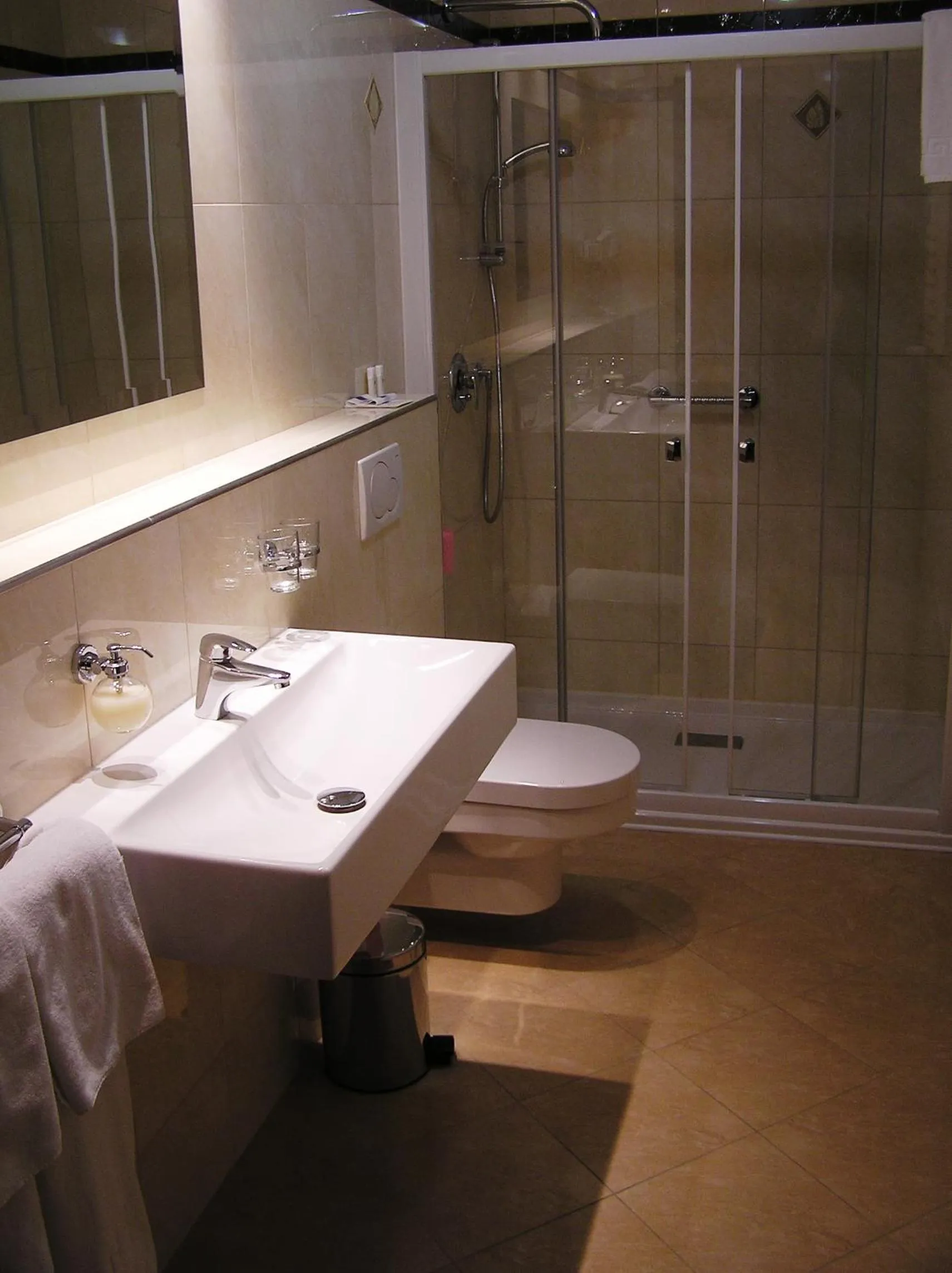 Shower in Hotel Zamek Królewski w Rydzynie