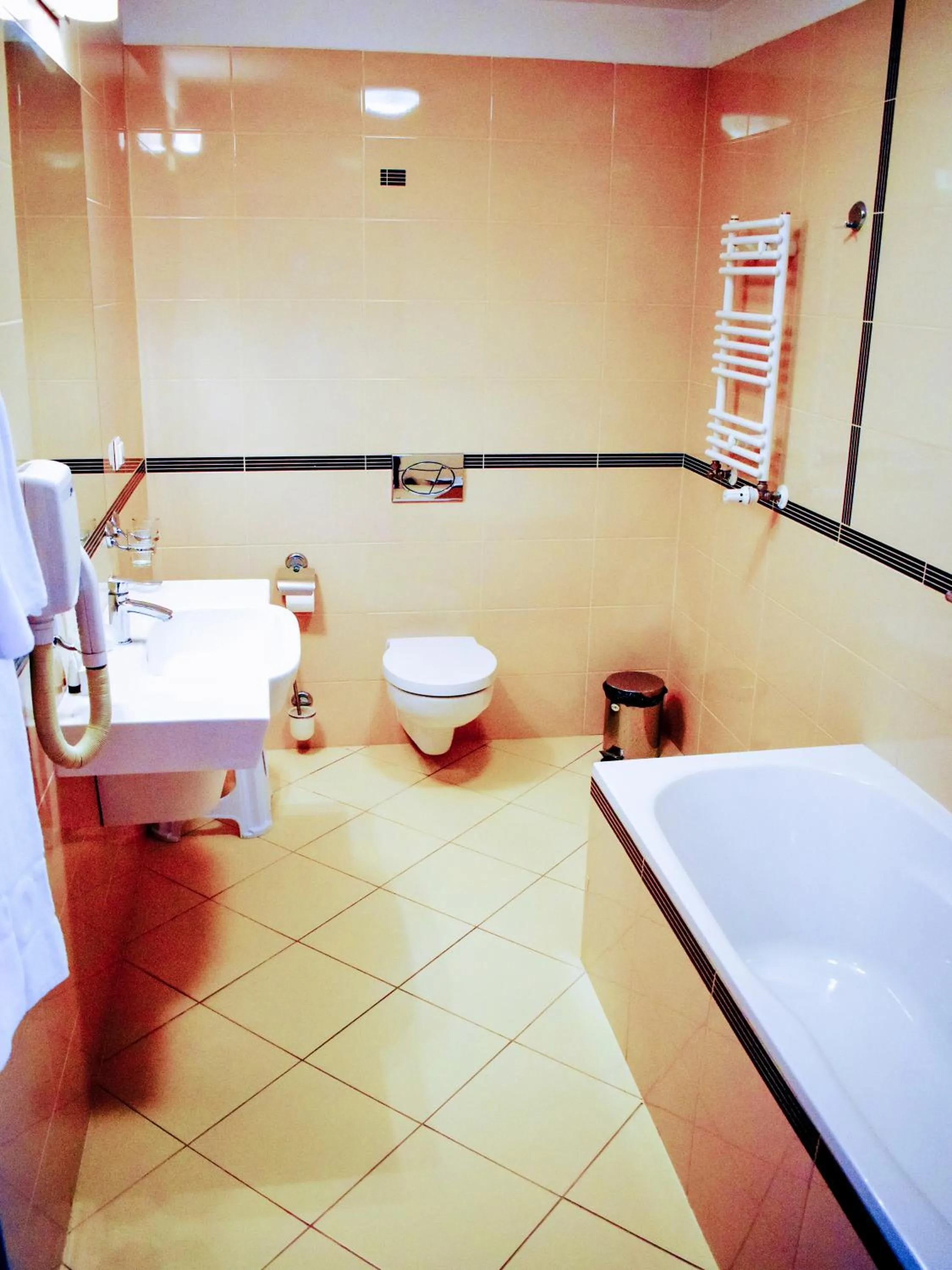 Toilet in Hotel Zamek Królewski w Rydzynie