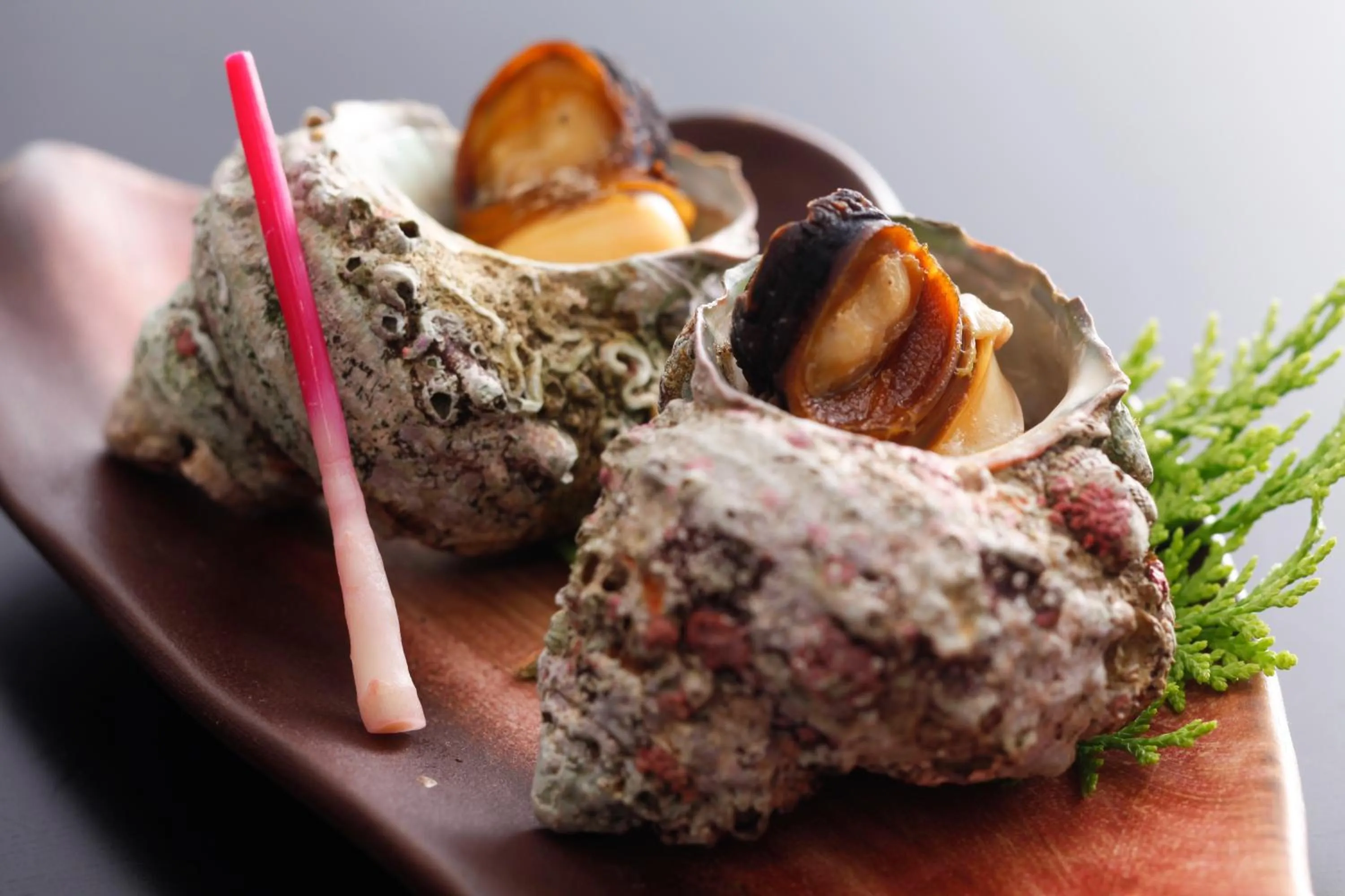 Hotel Tango Nakamura So