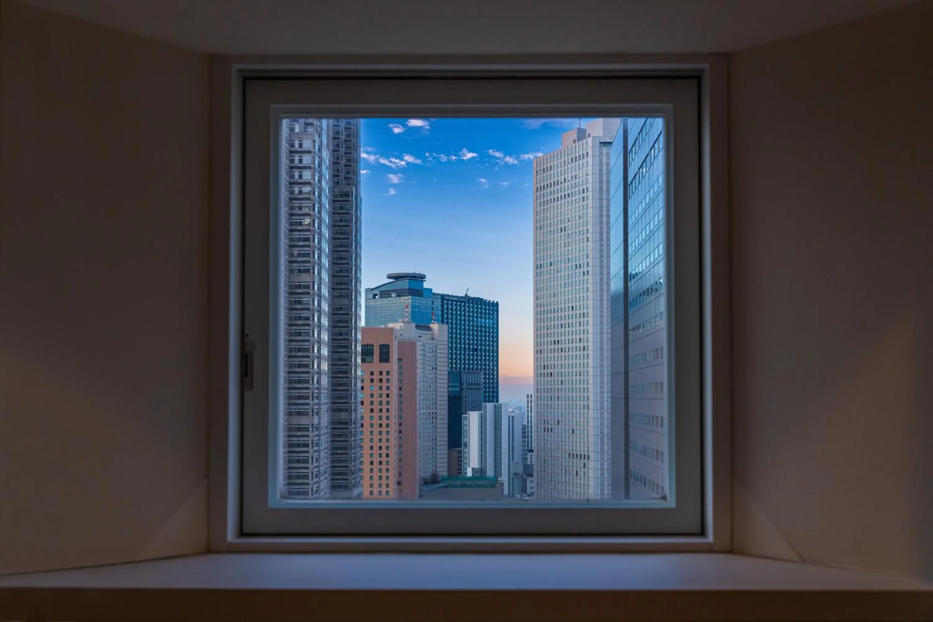 View (from property/room) in Shinjuku Washington Hotel View (from property/room) in Shinjuku Washington Hotel