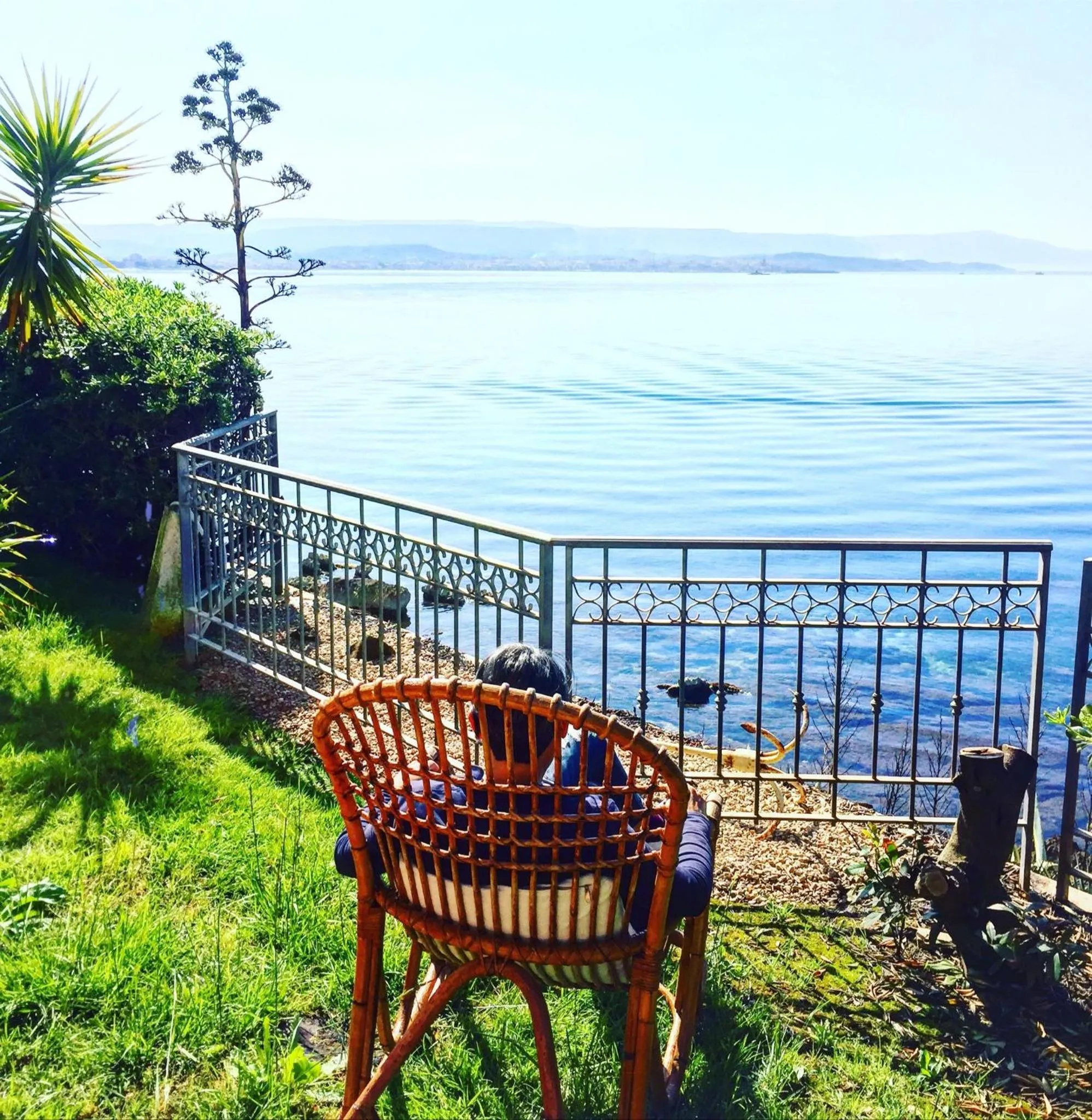 Garden in Villa Grachira