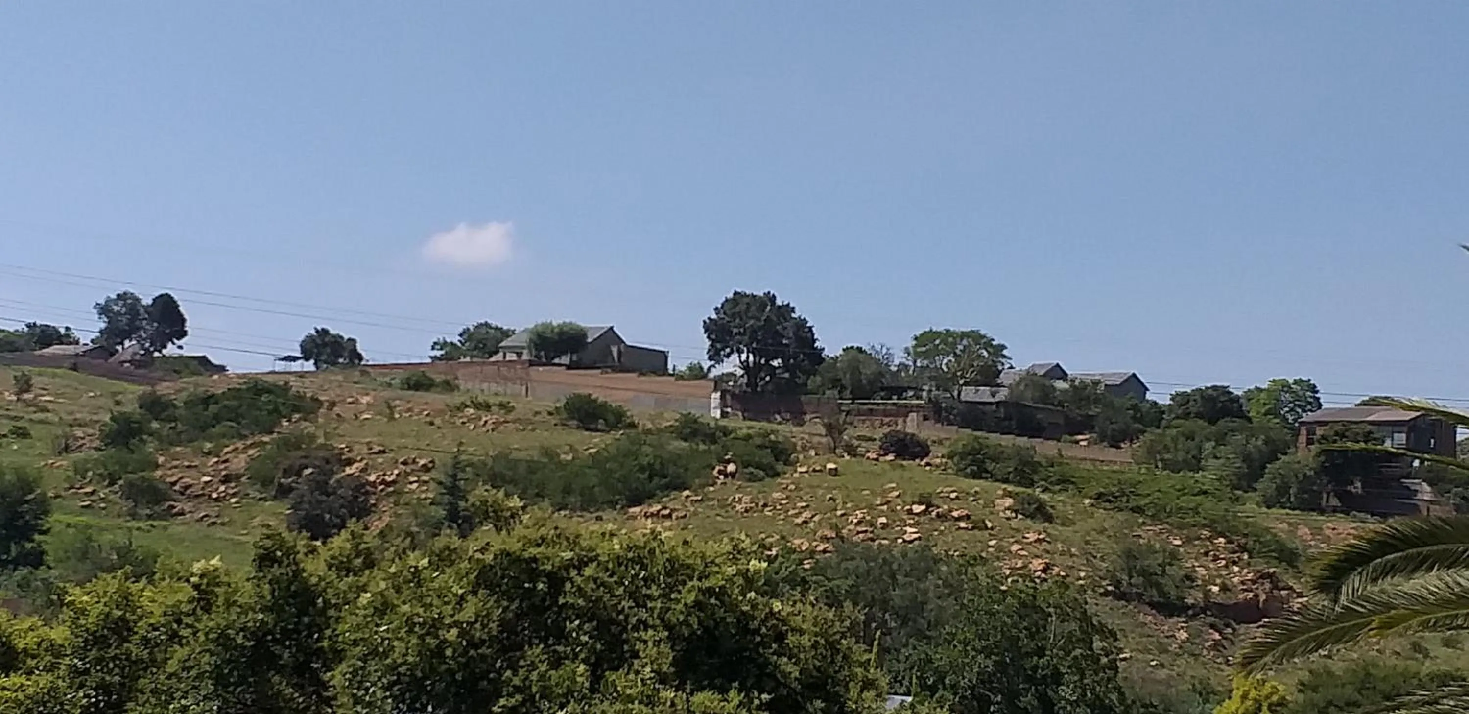 City view in Agterplaas Guesthouse Pty Ltd