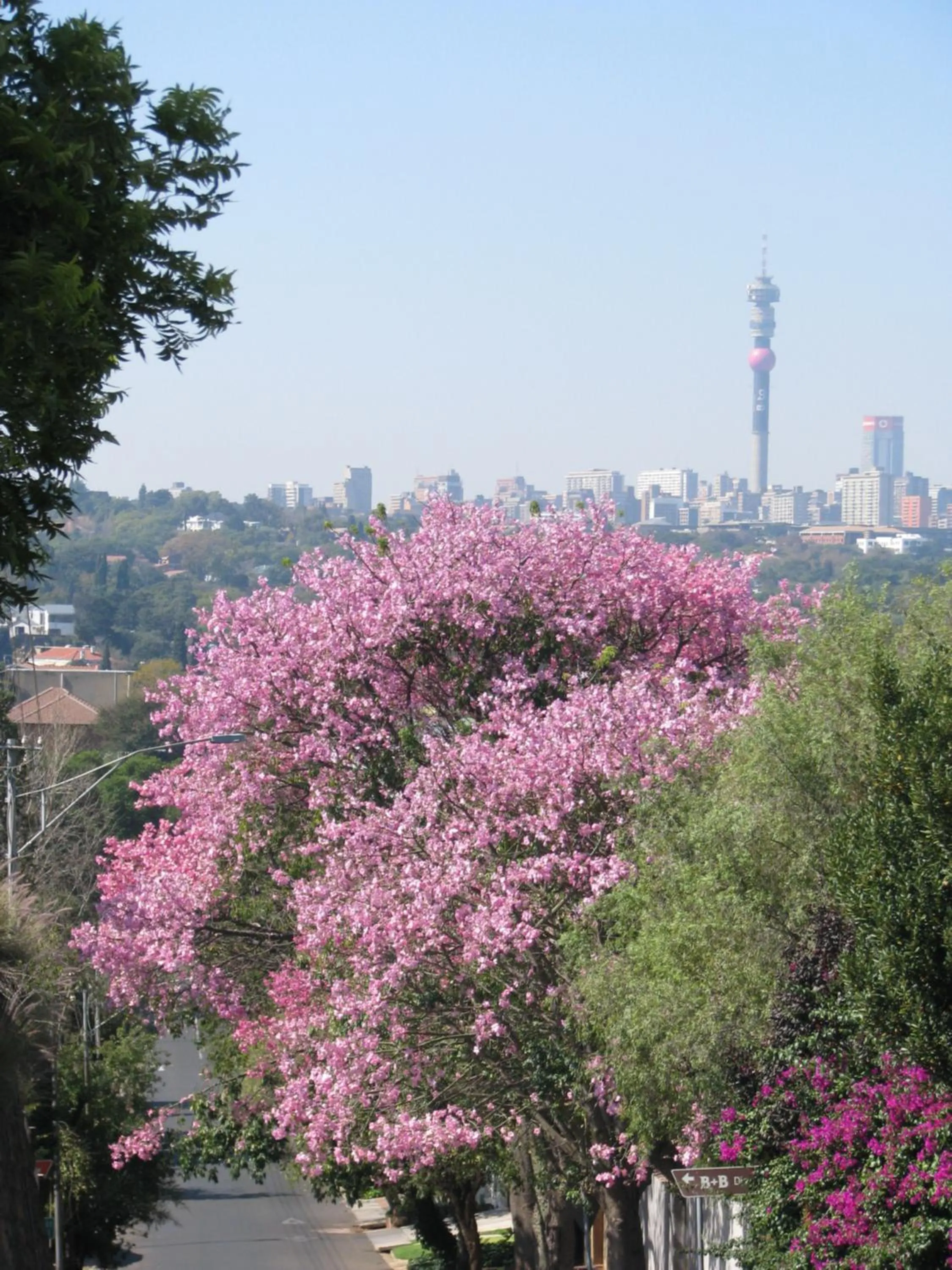 Natural landscape in Agterplaas Guesthouse Pty Ltd