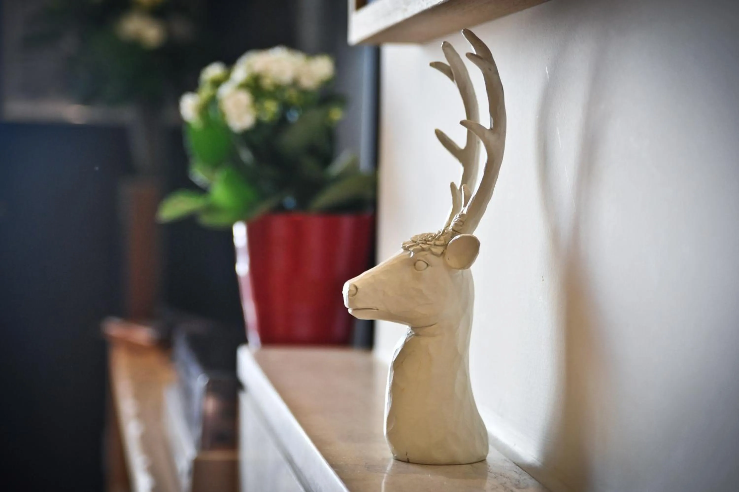 Decorative detail in Agrinio ART Suites