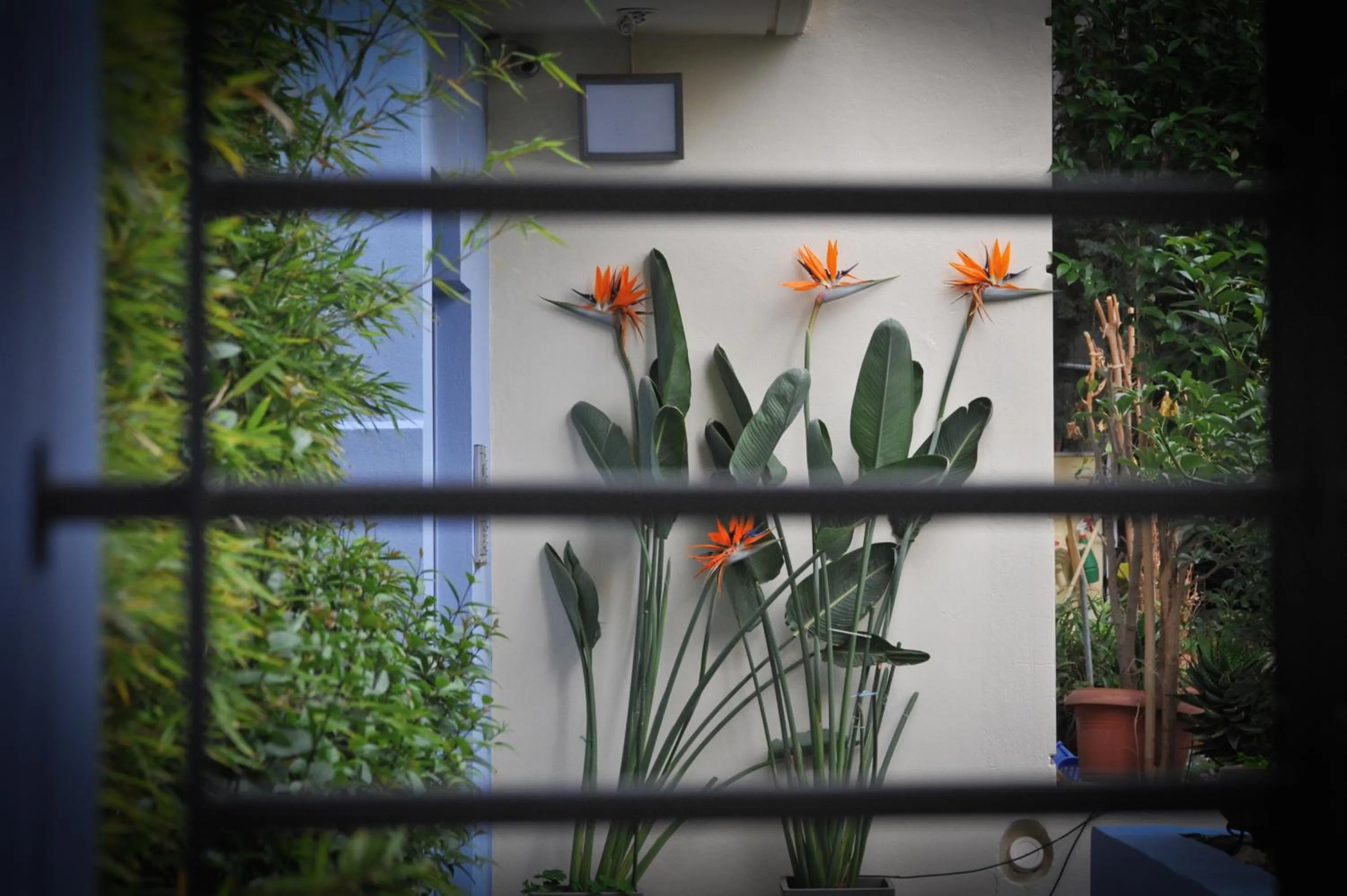 Facade/entrance in Agrinio ART Suites