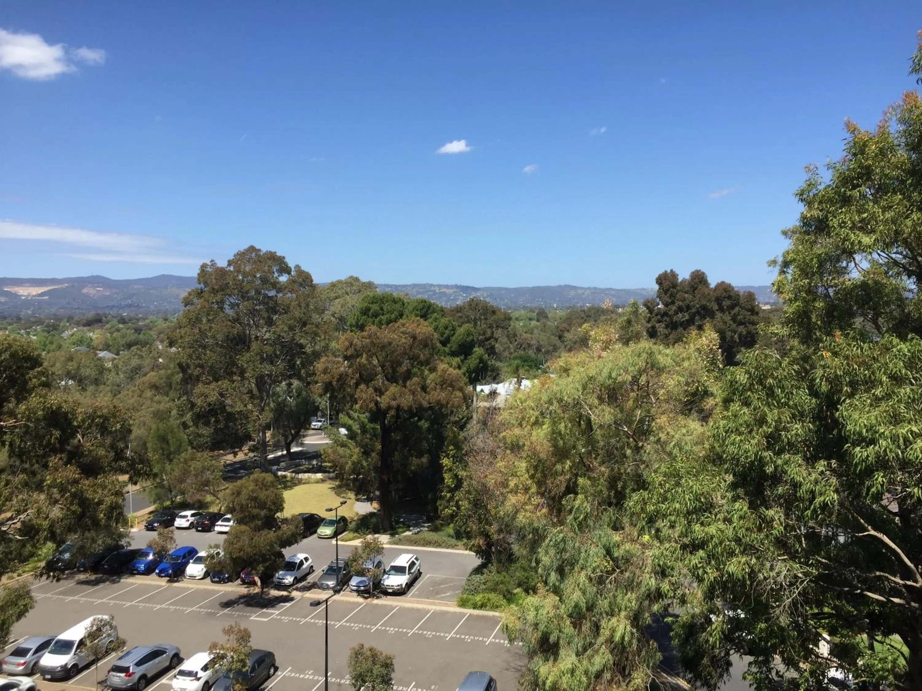 Tasha's Apartments on Warwick