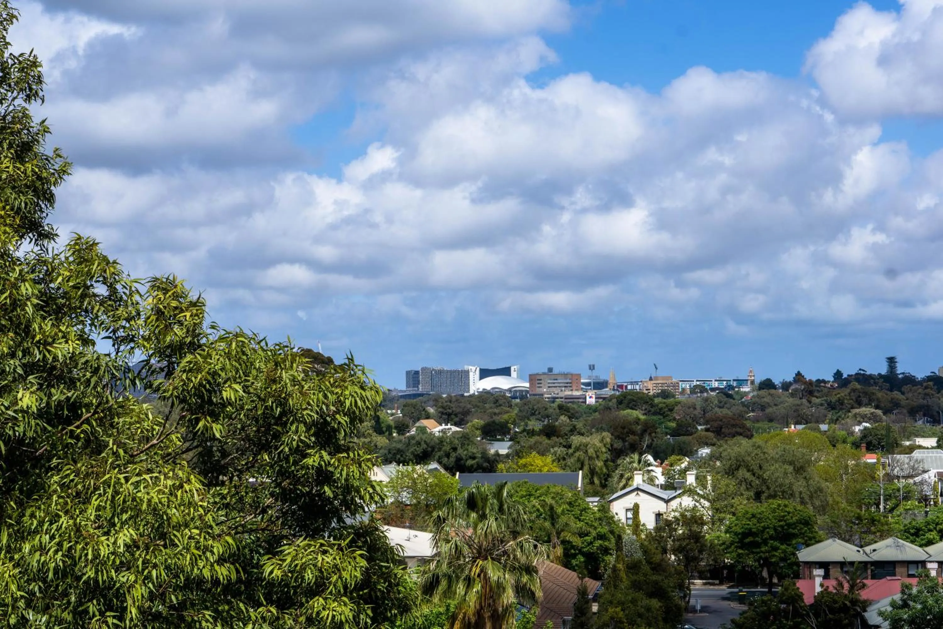 Tasha's Apartments on Warwick