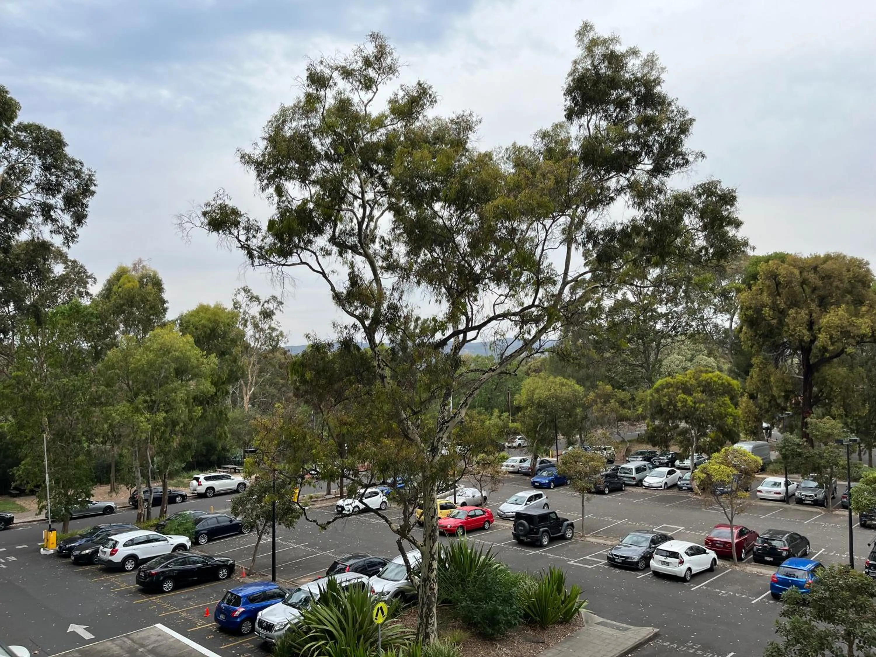 Tasha's Apartments on Warwick