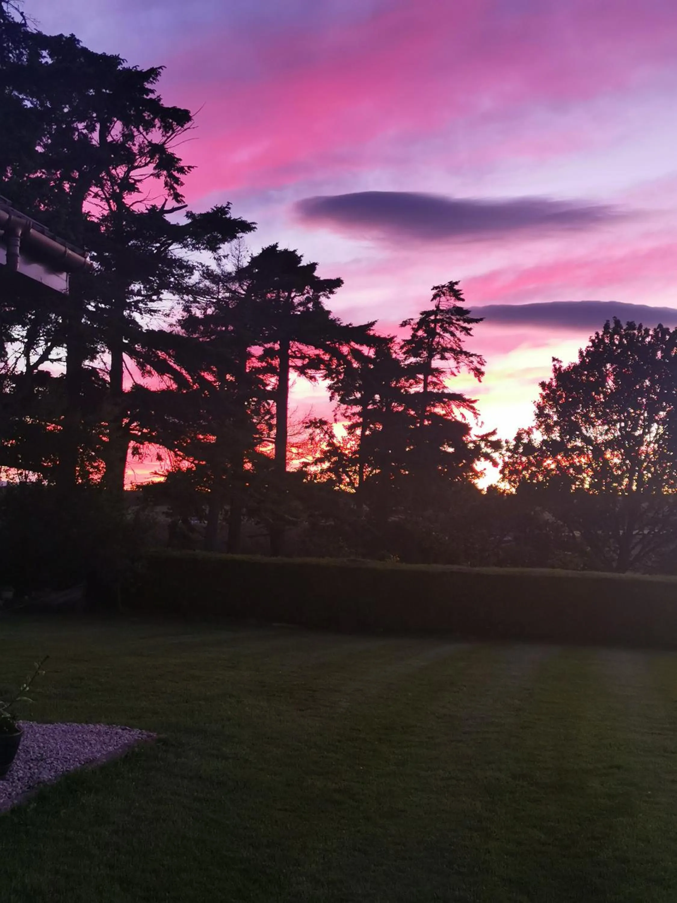 Hillhaven Bed &Breakfast