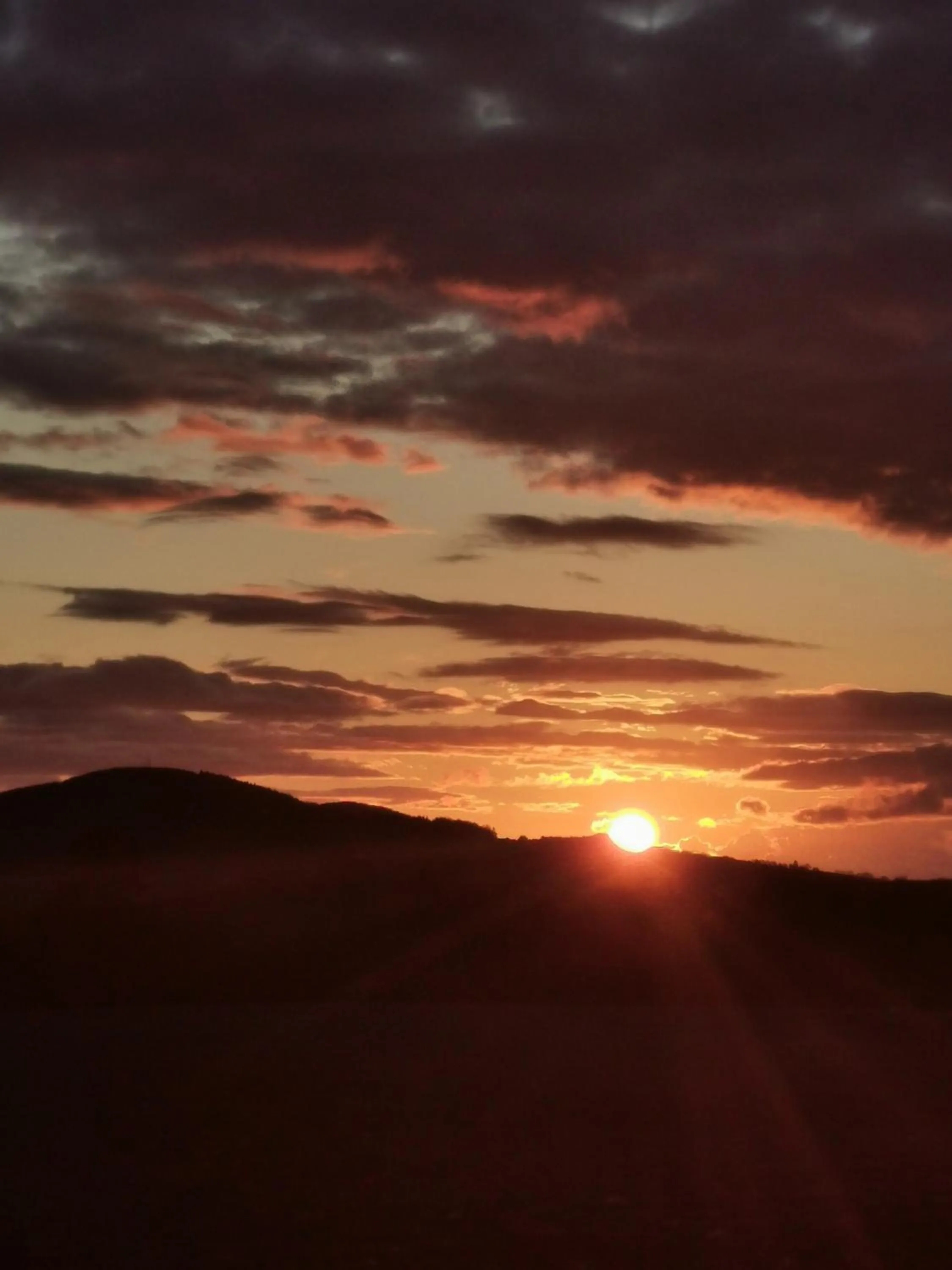 Hillhaven Bed &Breakfast