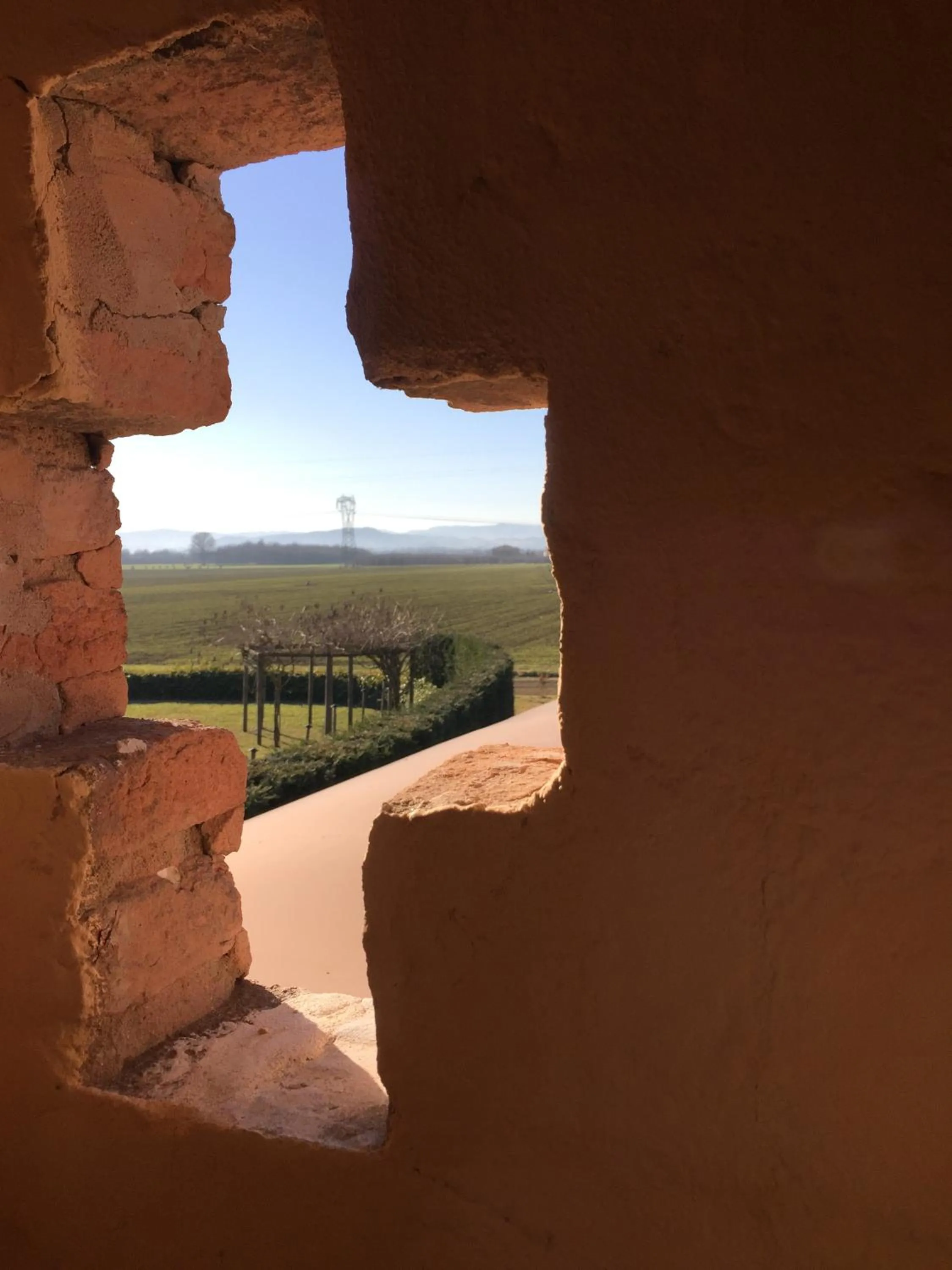 Natural landscape in Agriturismo La Lupa