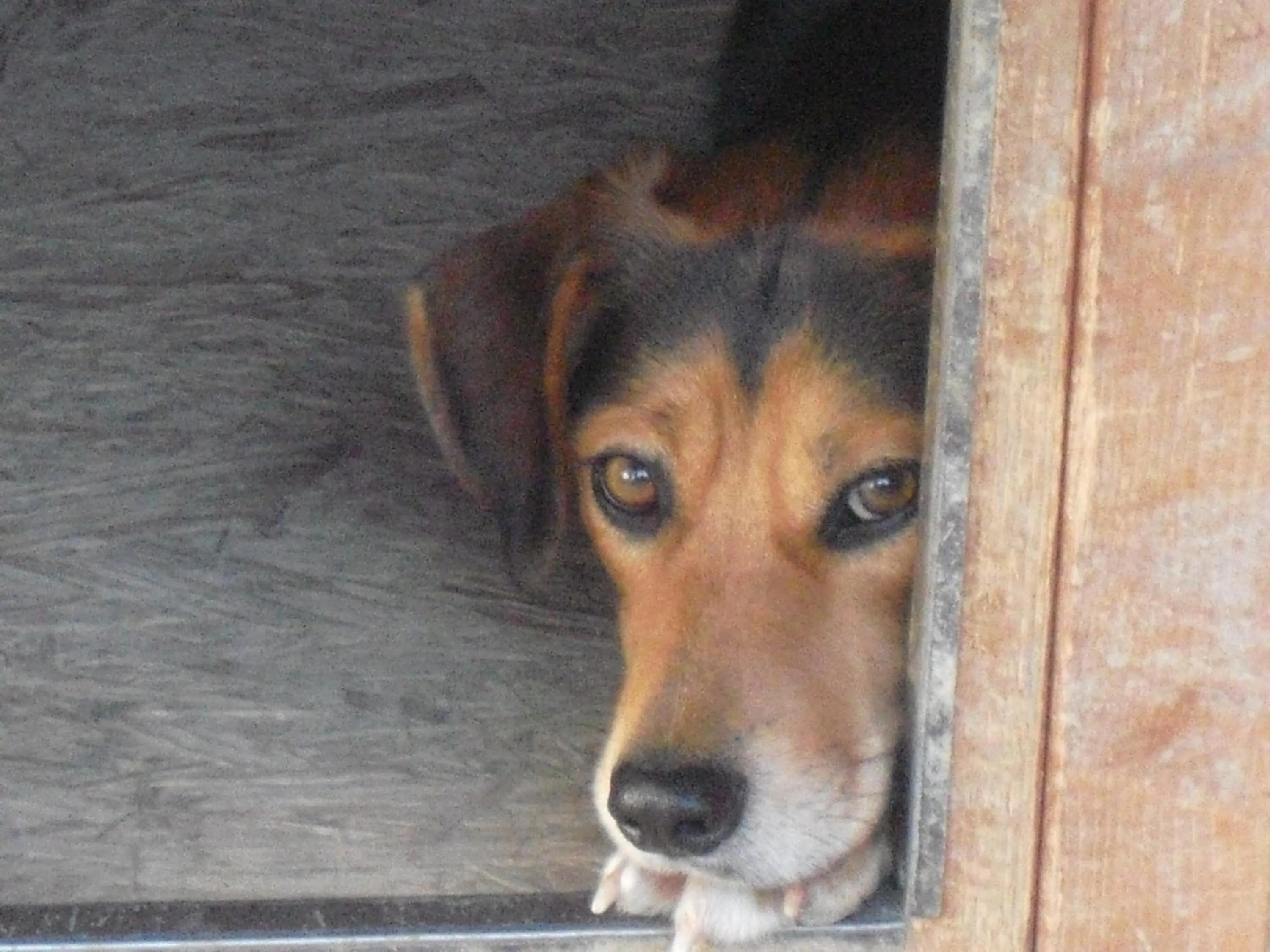 Garden in Agriturismo La Lupa