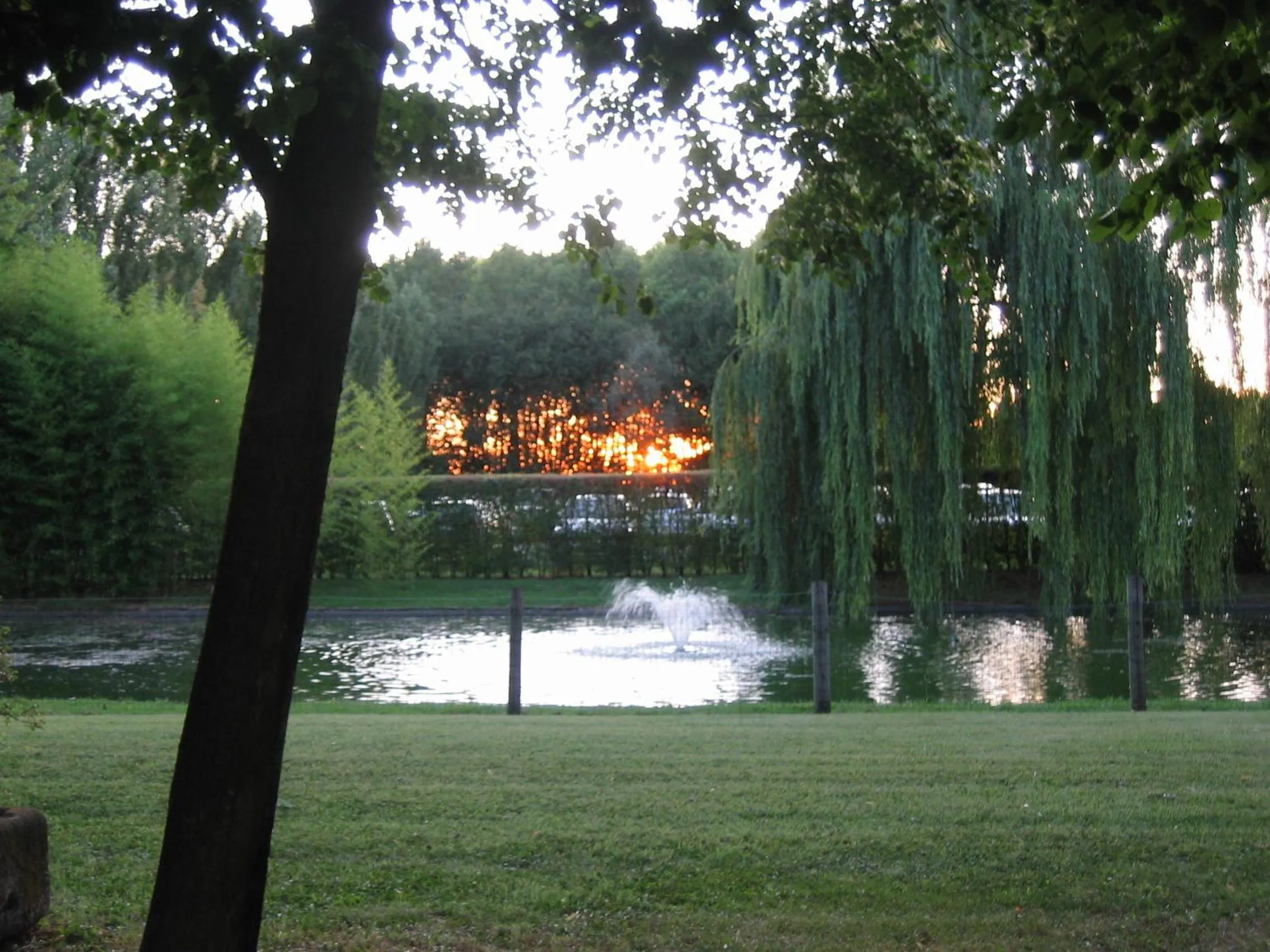 Garden in Agriturismo La Lupa