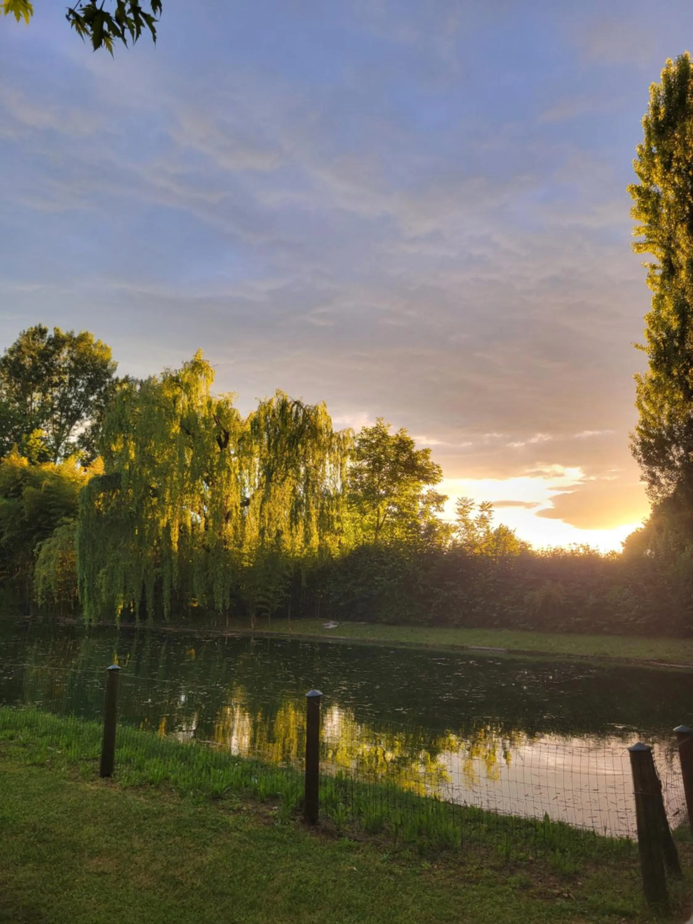 Garden view in Agriturismo La Lupa