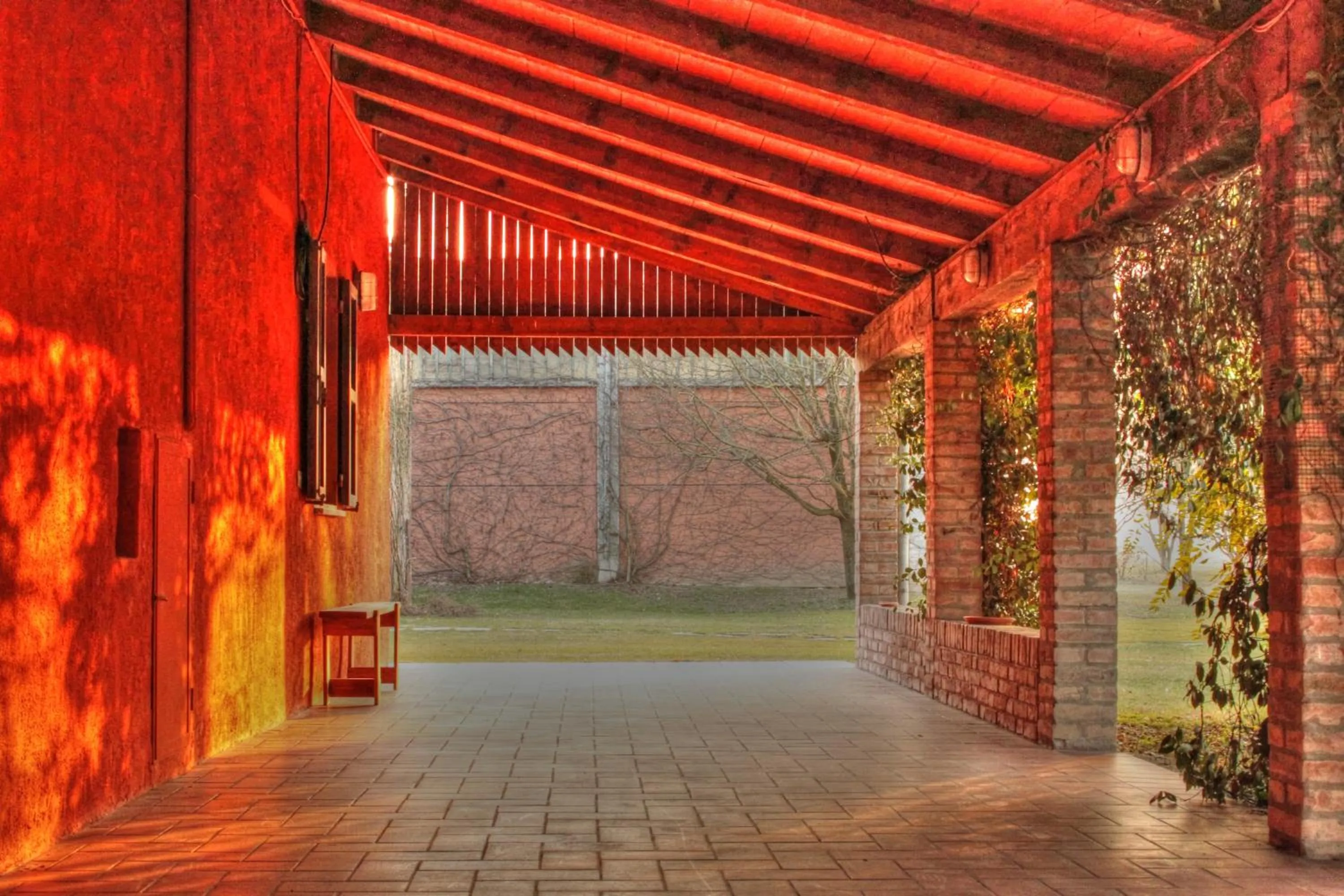 View (from property/room) in Agriturismo La Lupa