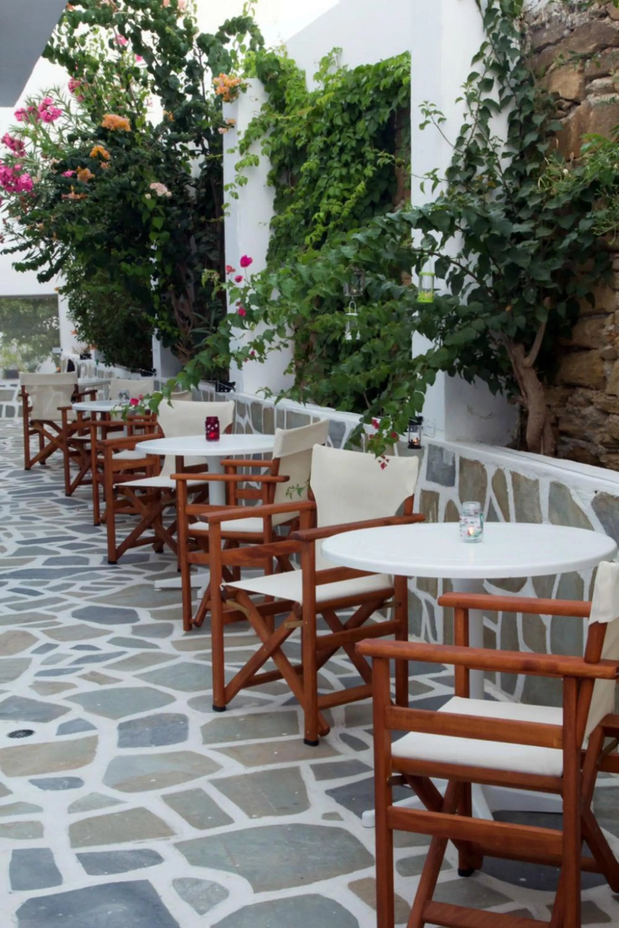 Garden in Hotel Faros