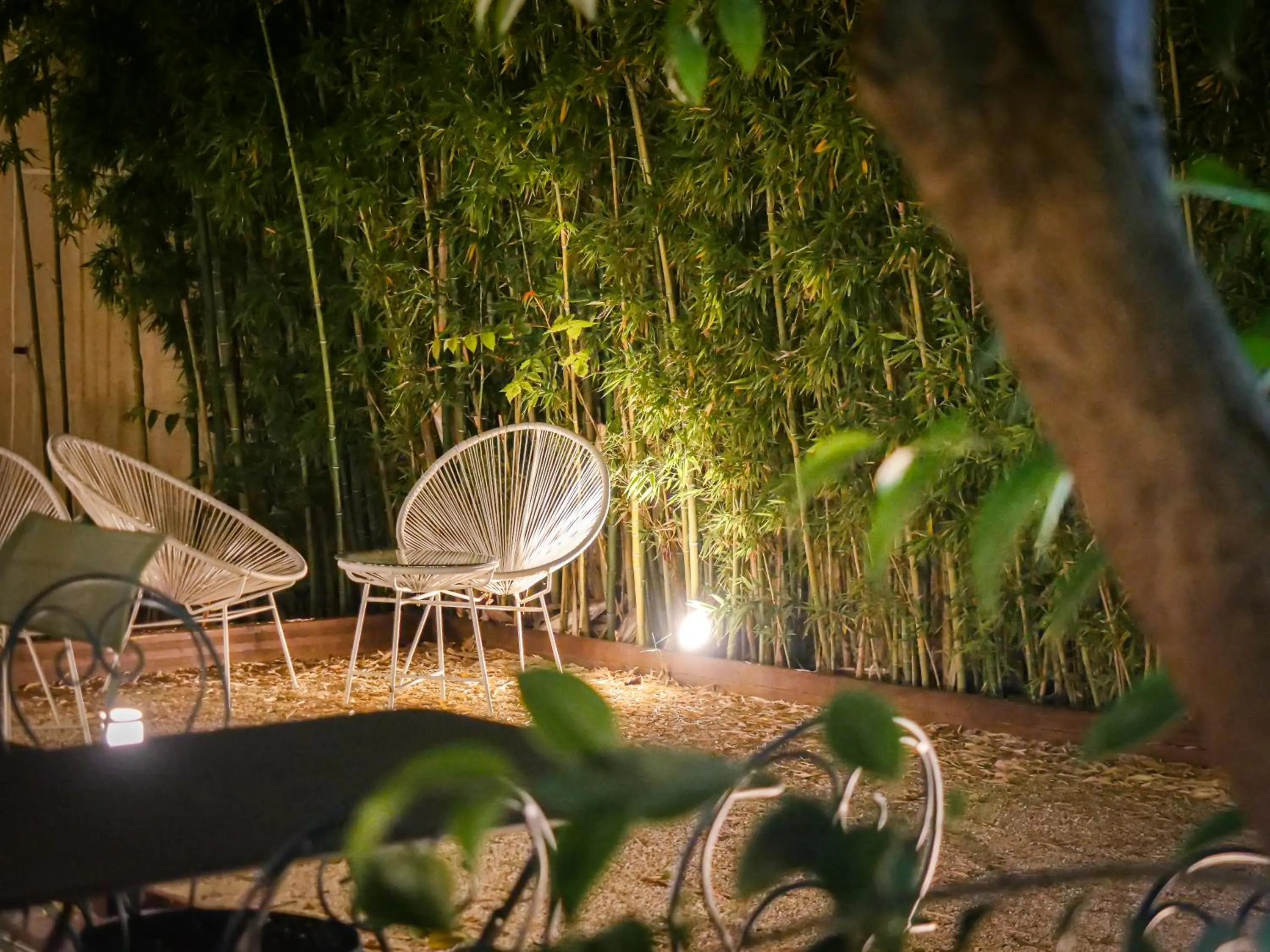 Garden in Hôtel Maison Montgrand - Vieux Port